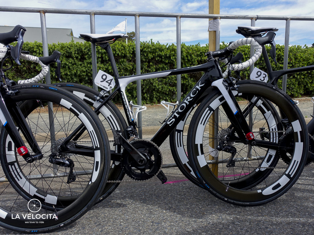 Storck-6.jpg