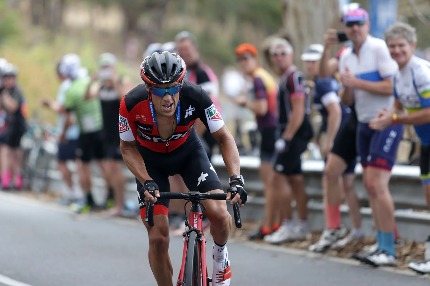 Santos Tour Down Under / Regallo
