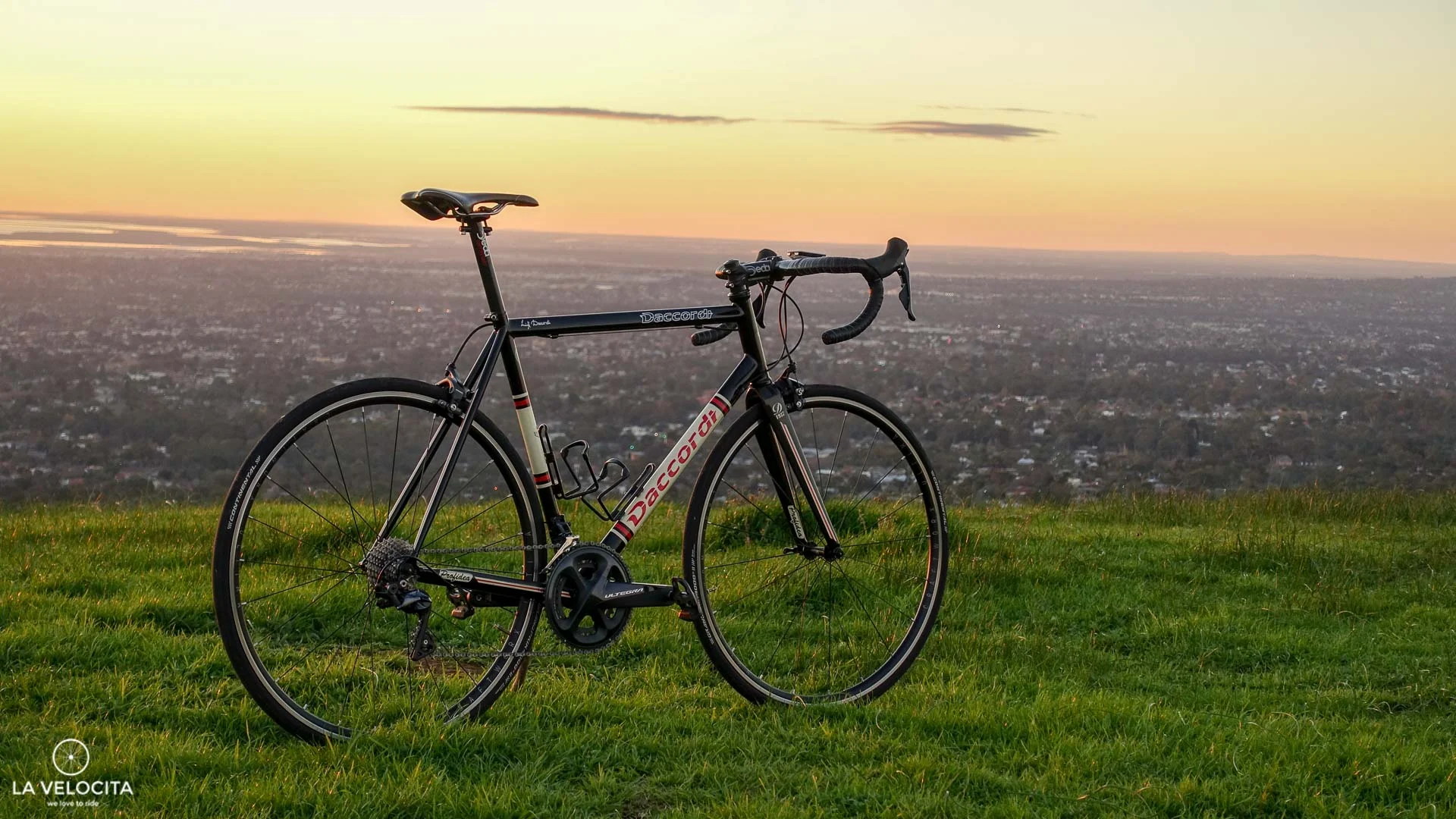 Daccordi Profidea review