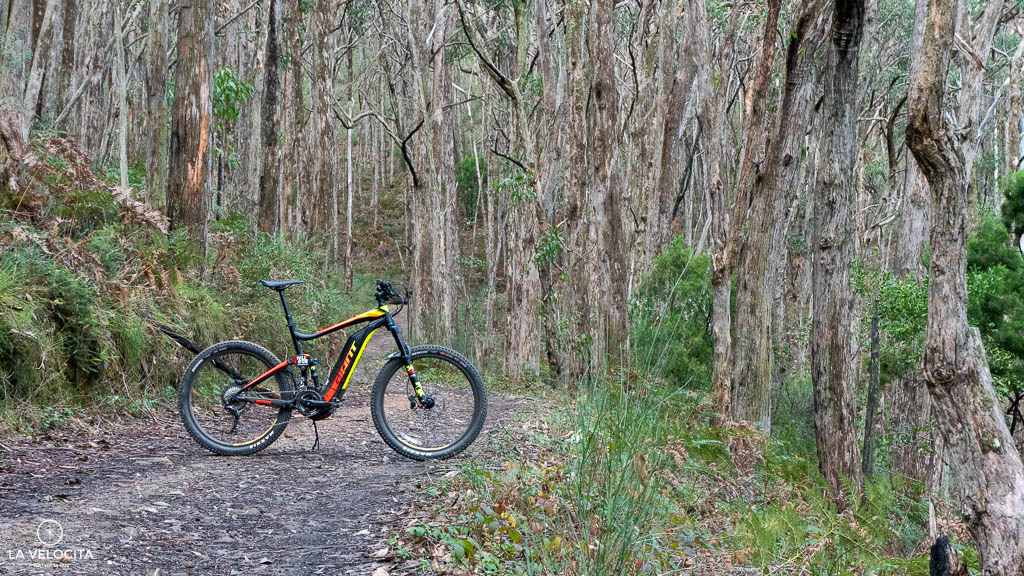 This could be your commute