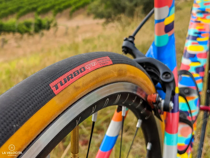 Specialized Turbo Cotton.jpg