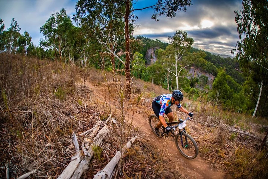 Matt Ackland Solo 24 MTB.jpg