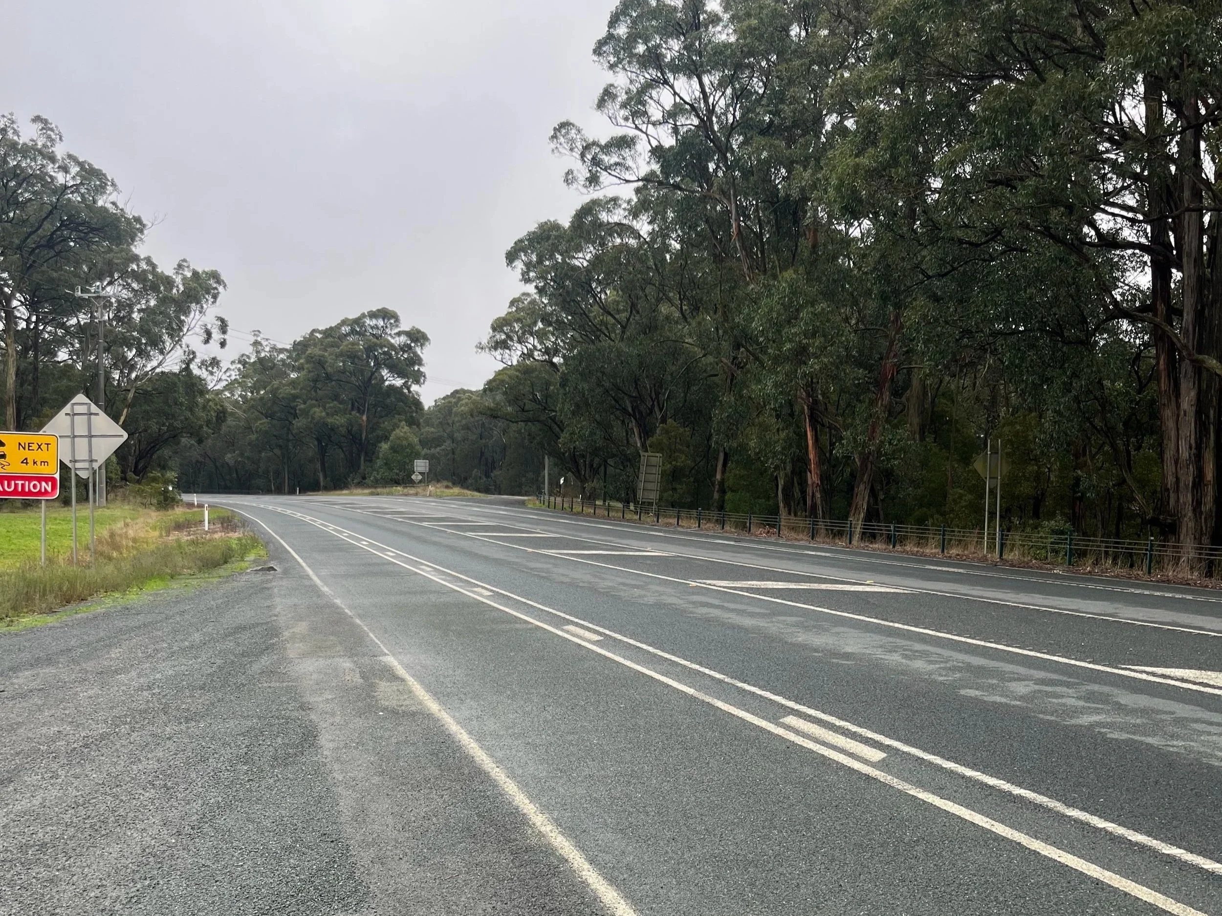Black Forest Drive and the Fine Art of Losing Your Mind Over a Bike Lane