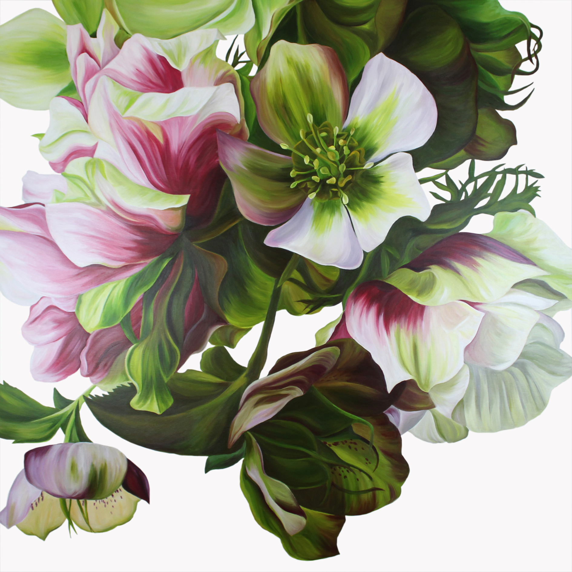 Freya+Powell+Jardine+Art+Pharmacy+View+1 copy.jpg