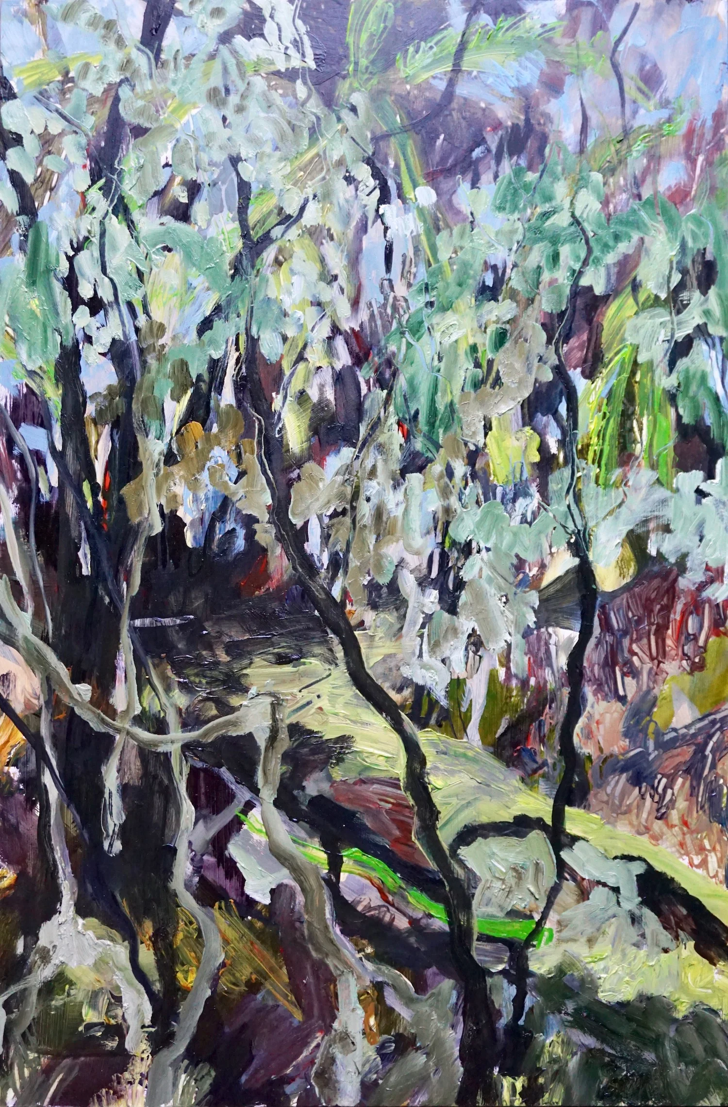 Fallen Tree-GillianHughes-ArtPharmacy-View1.jpg