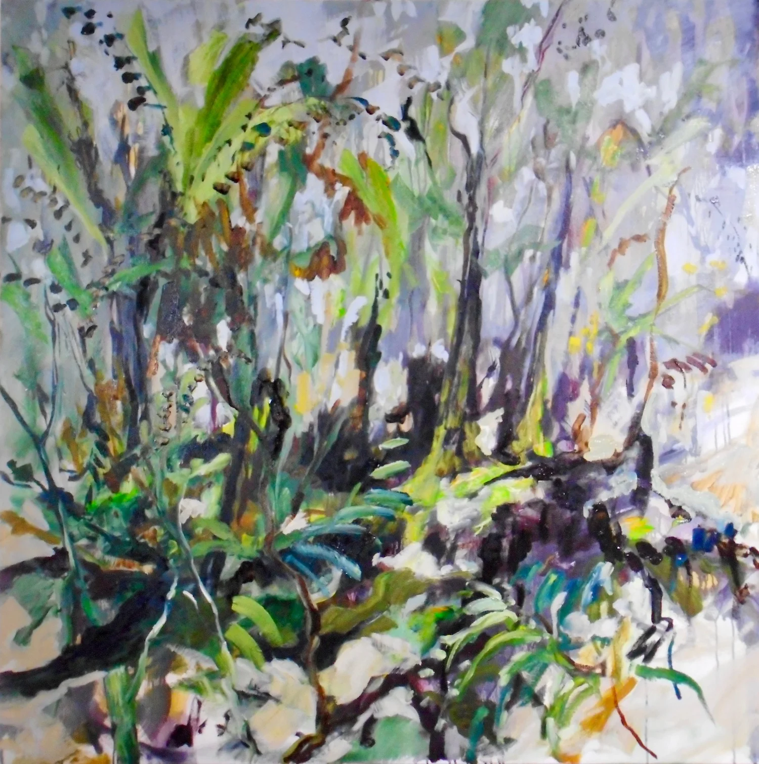 Tarkine Rainforest-GillianHughes-ArtPharmacy-View1.jpg