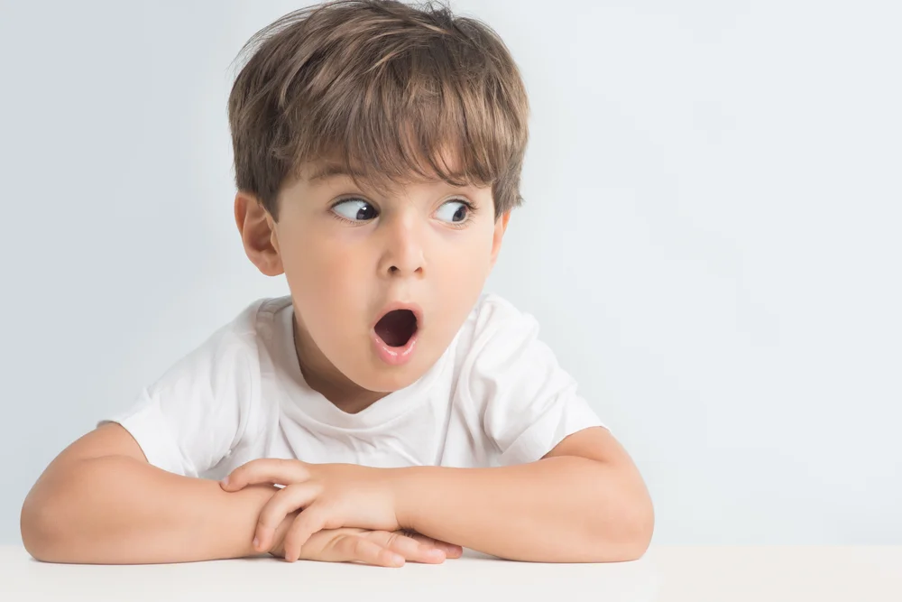 A Child's Illustrated Guide to Sex, Swearing and Violence