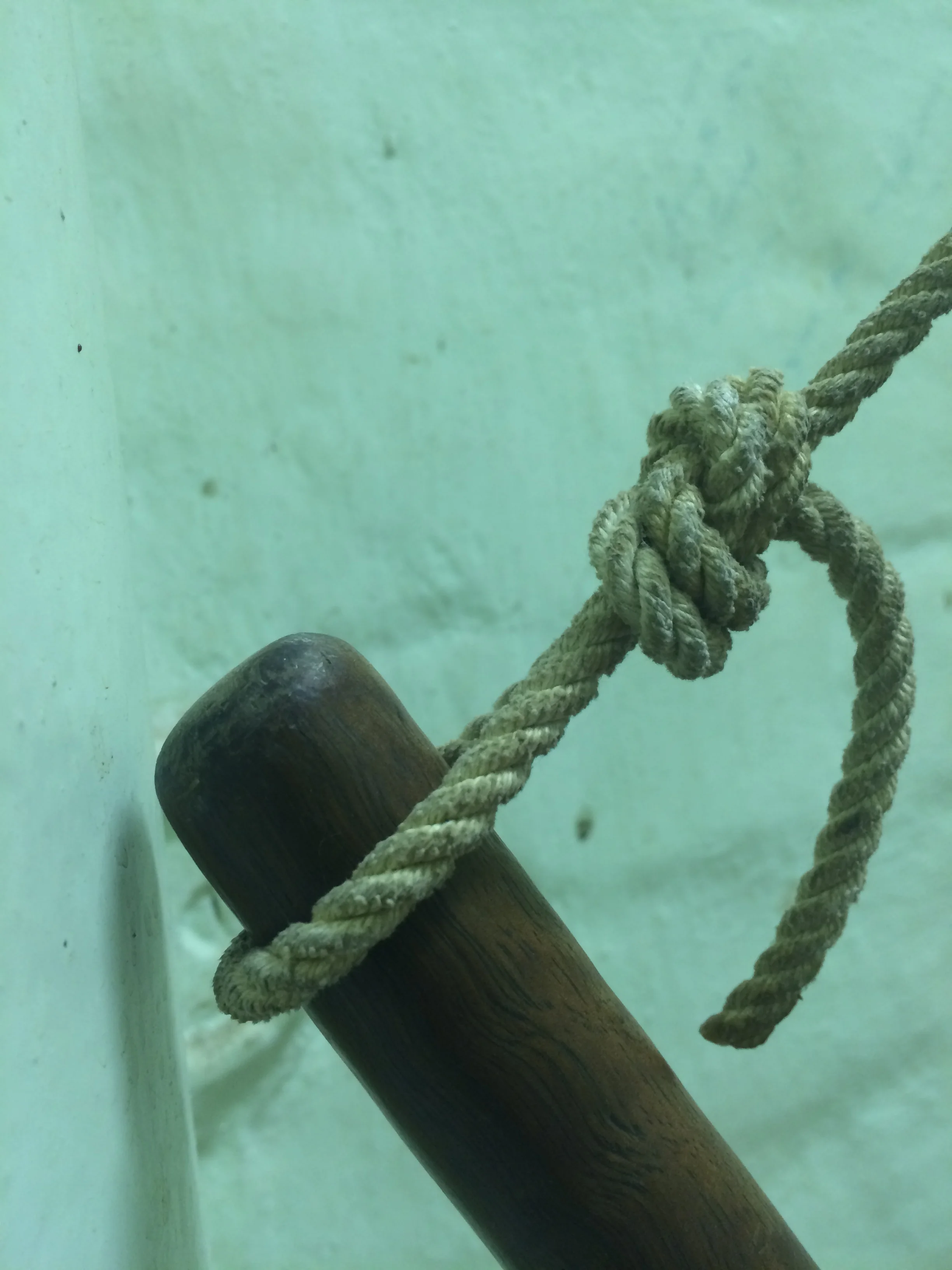 Hung (detail)