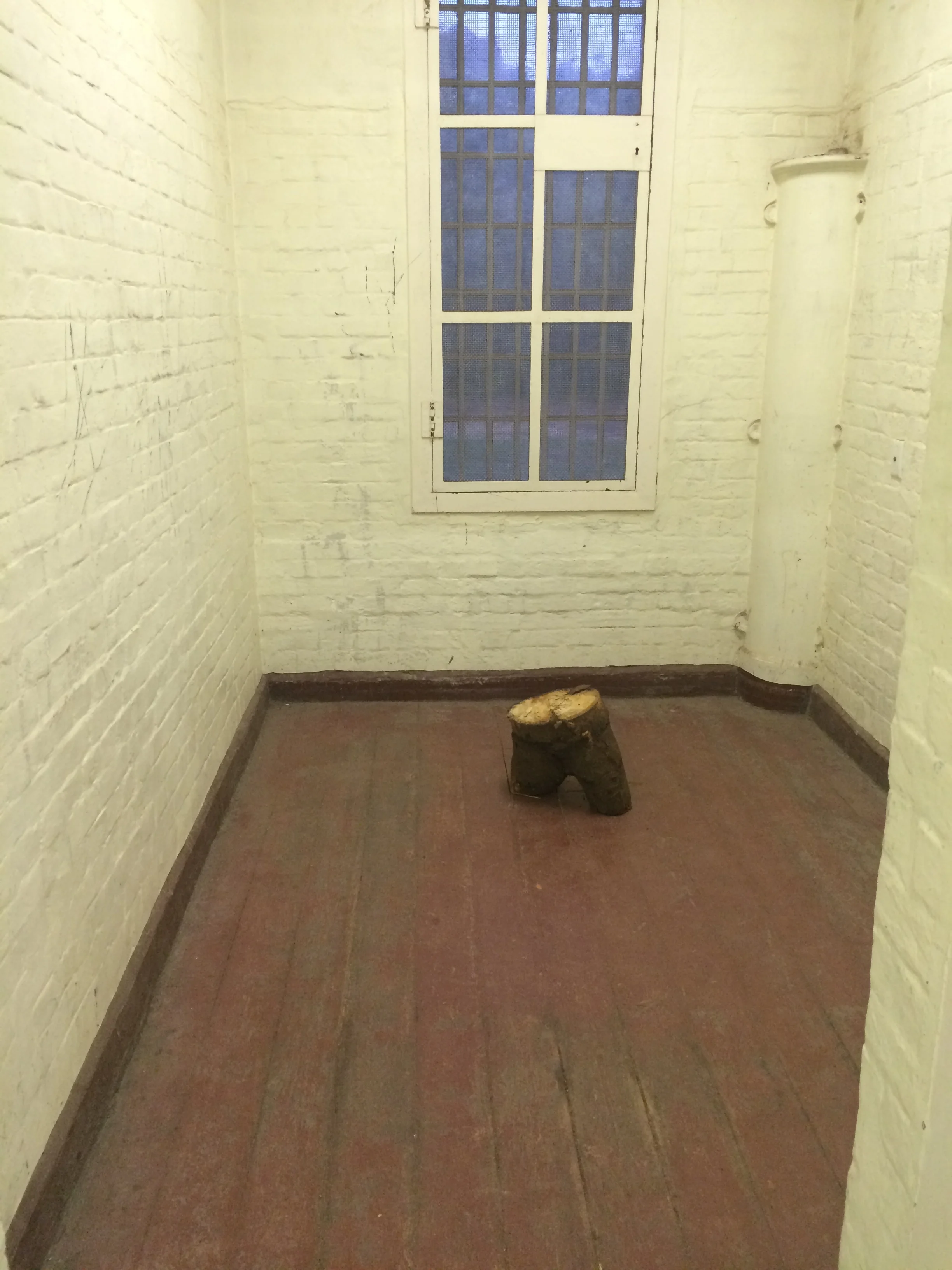 Torso 2015 stump