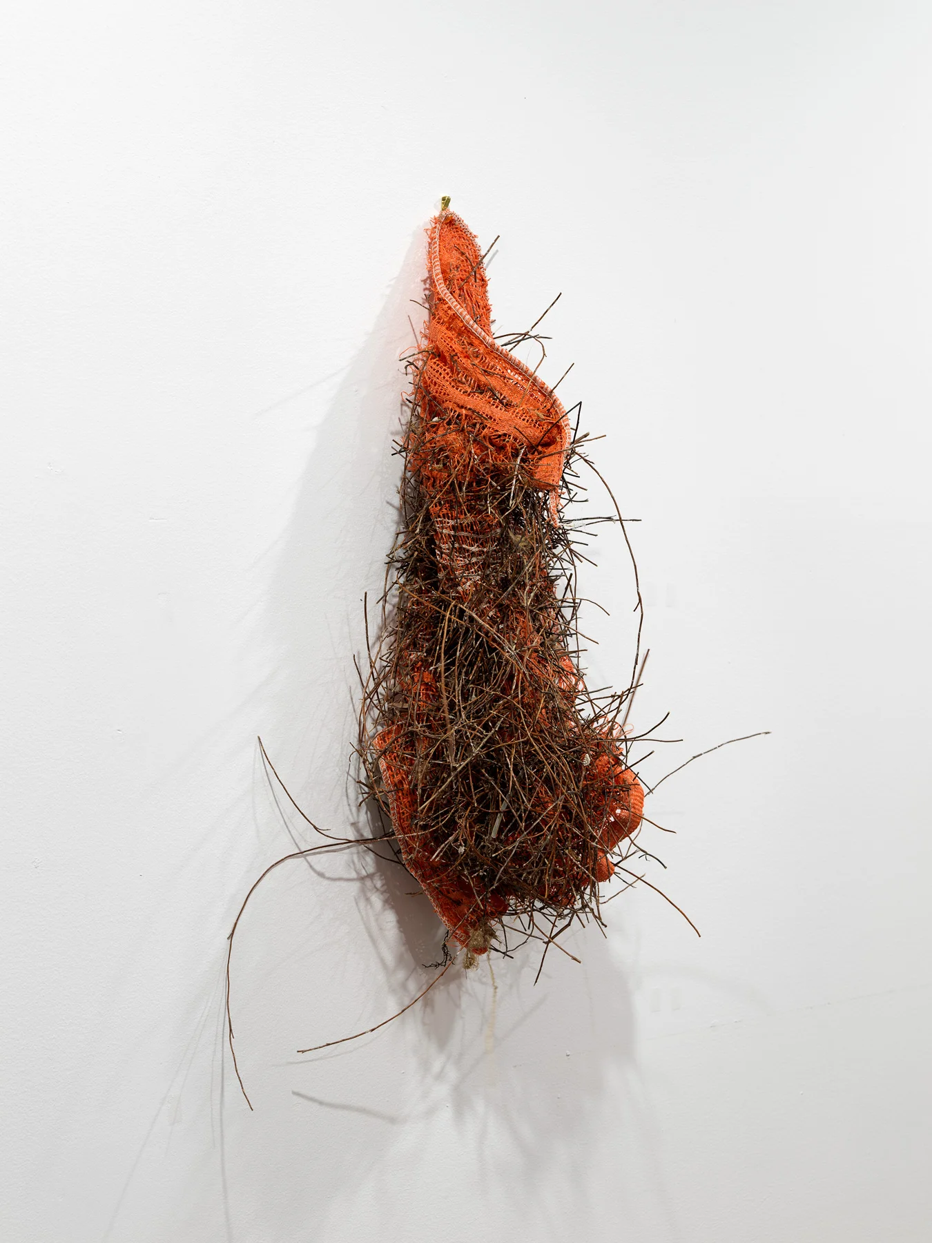 Orange bag 2017 50 x 30 x 20cm plastic, weed photographer Grant Hancock
