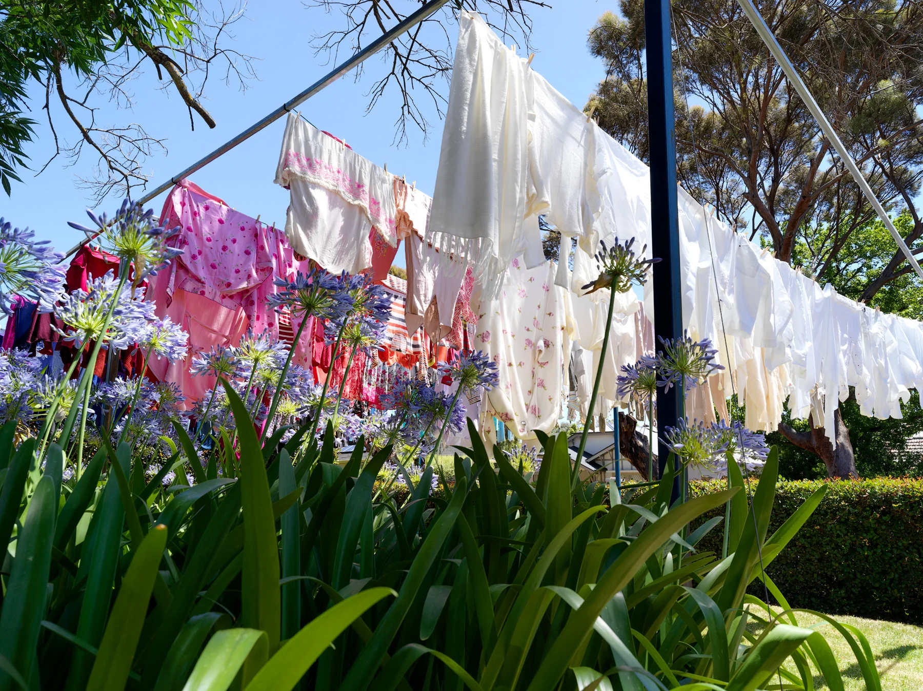 Clothesline_3814.jpg