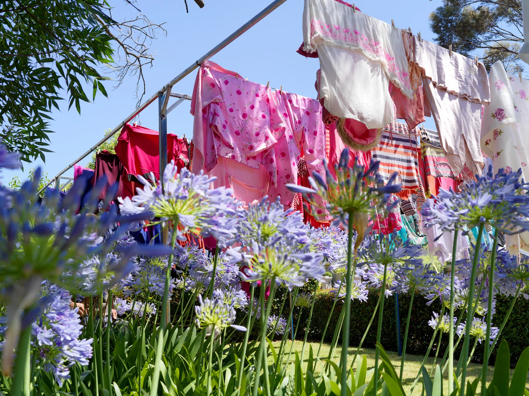 Clothesline_3860.jpg