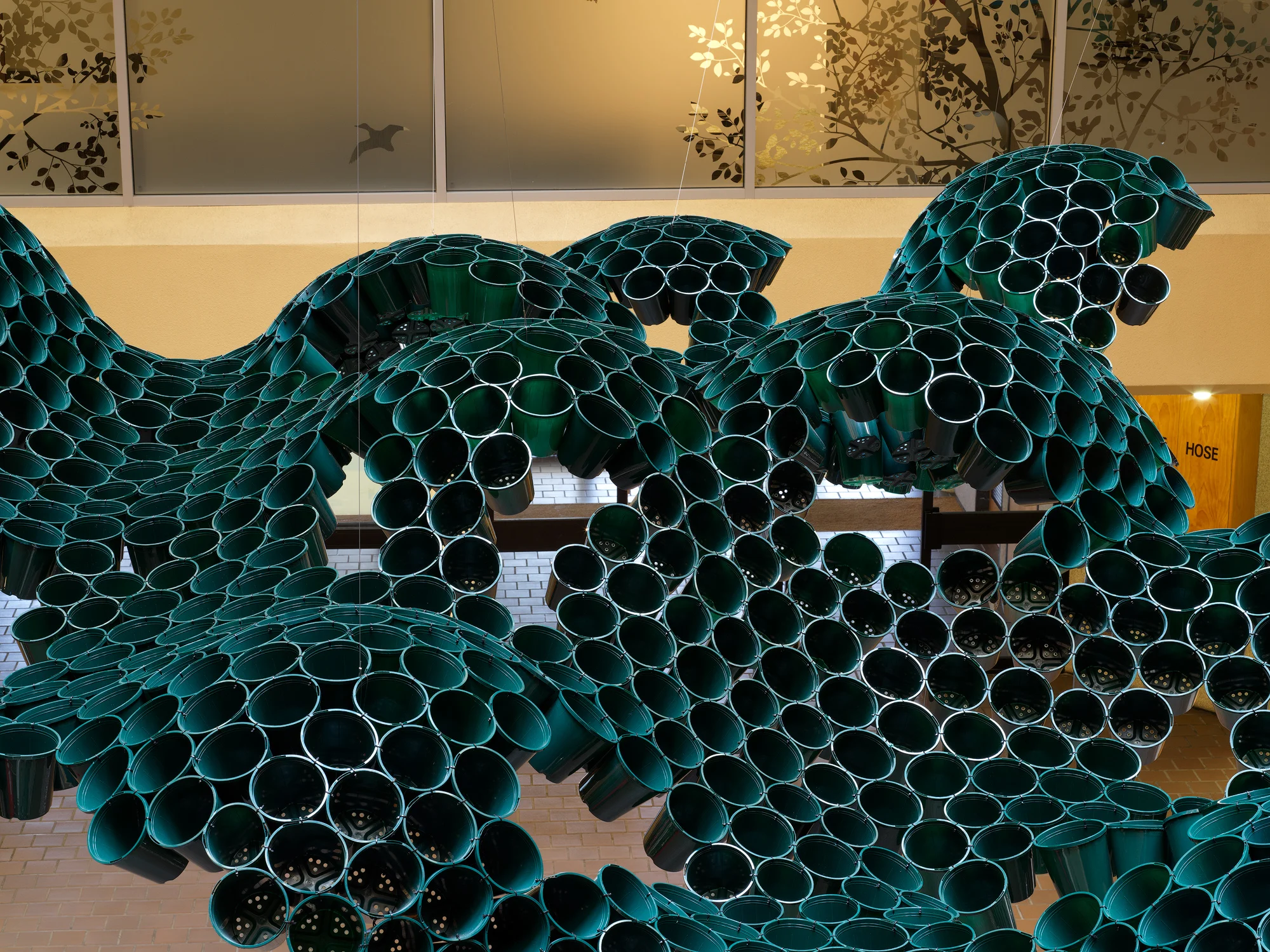 Pine Tree Green_4284.jpg