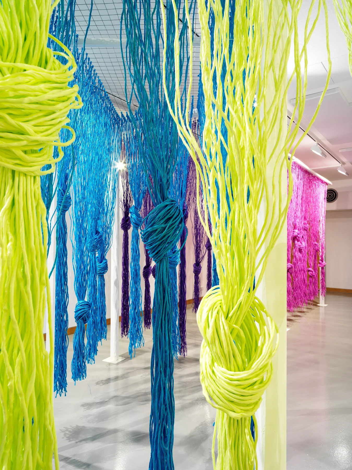 Twine_6400.jpg