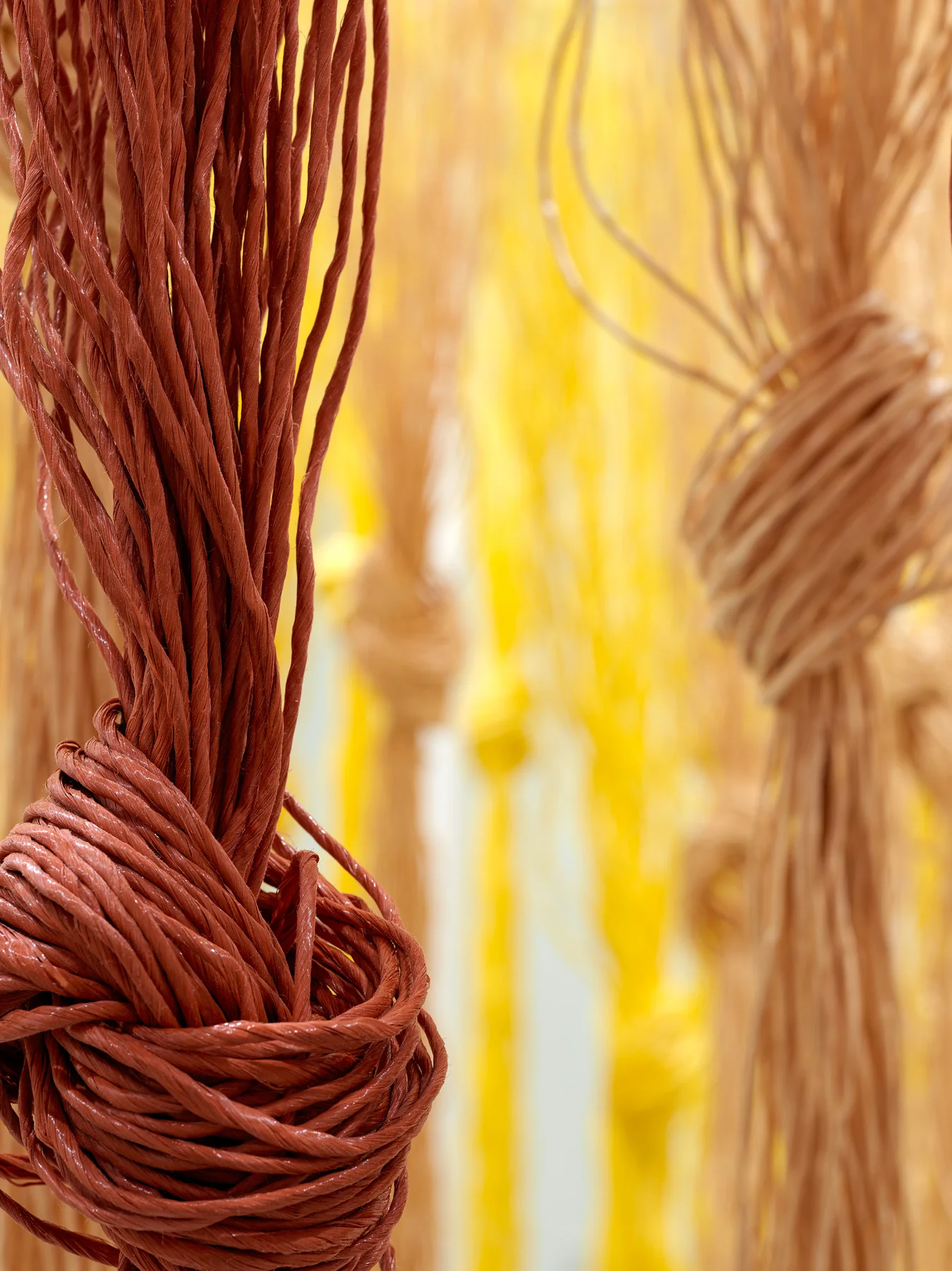 Twine_6443.jpg
