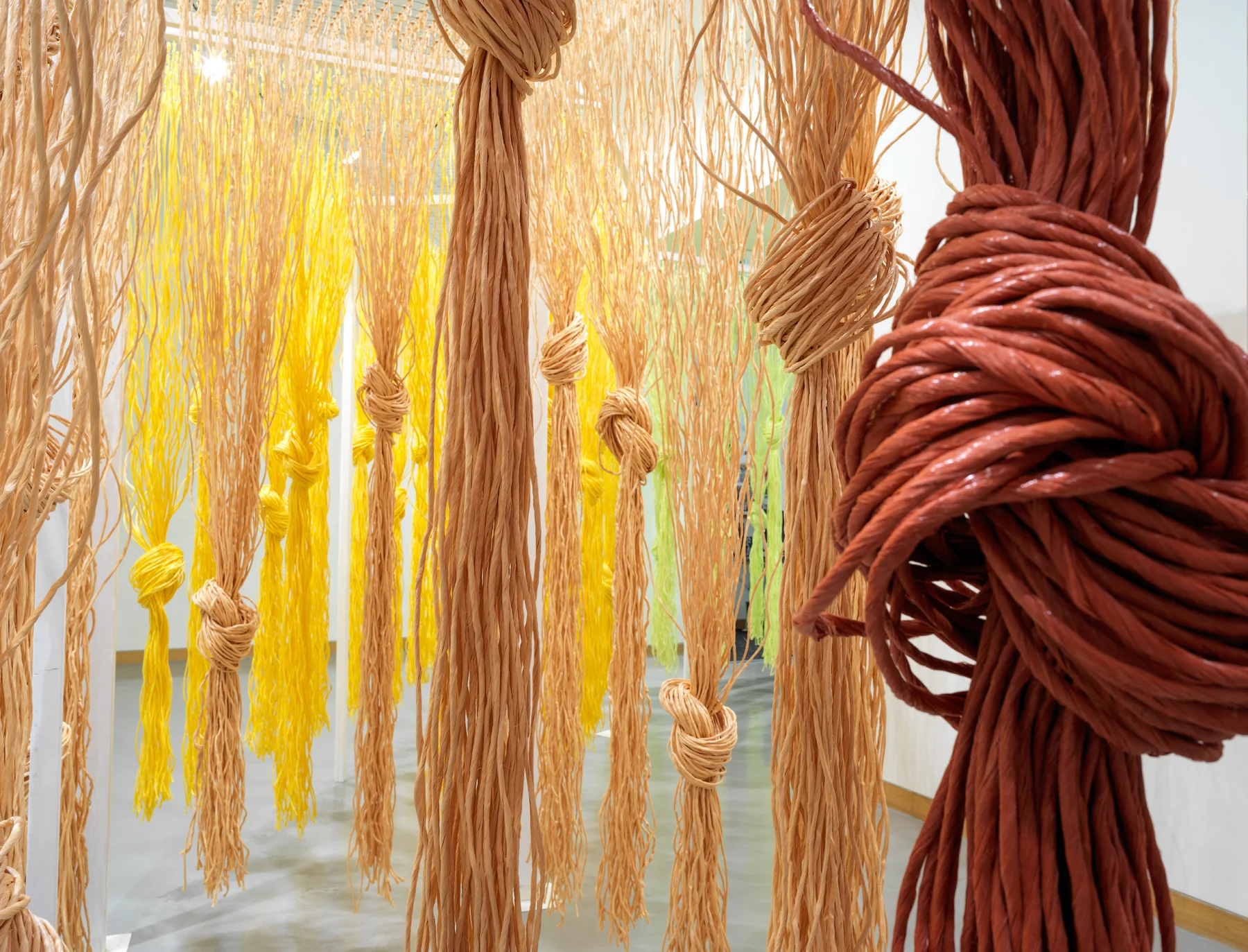 Twine_6382.jpg