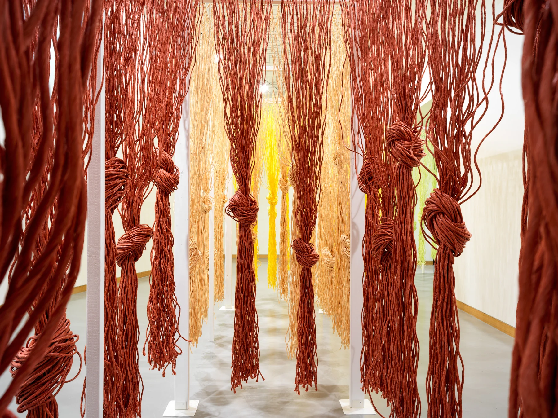 Twine_6308.jpg