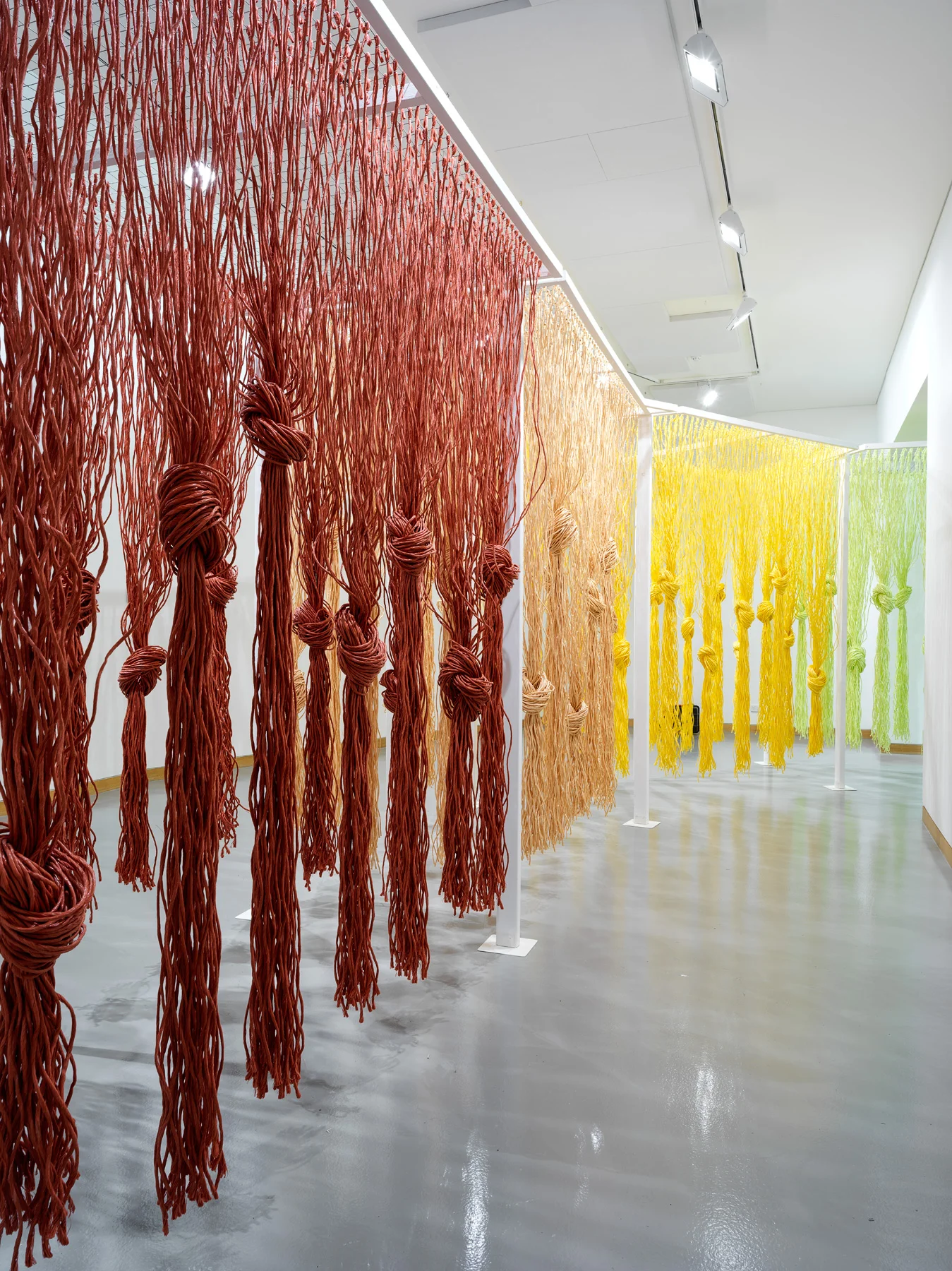Twine_6334.jpg