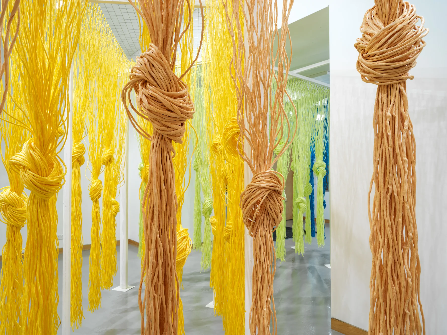 Twine_6388.jpg
