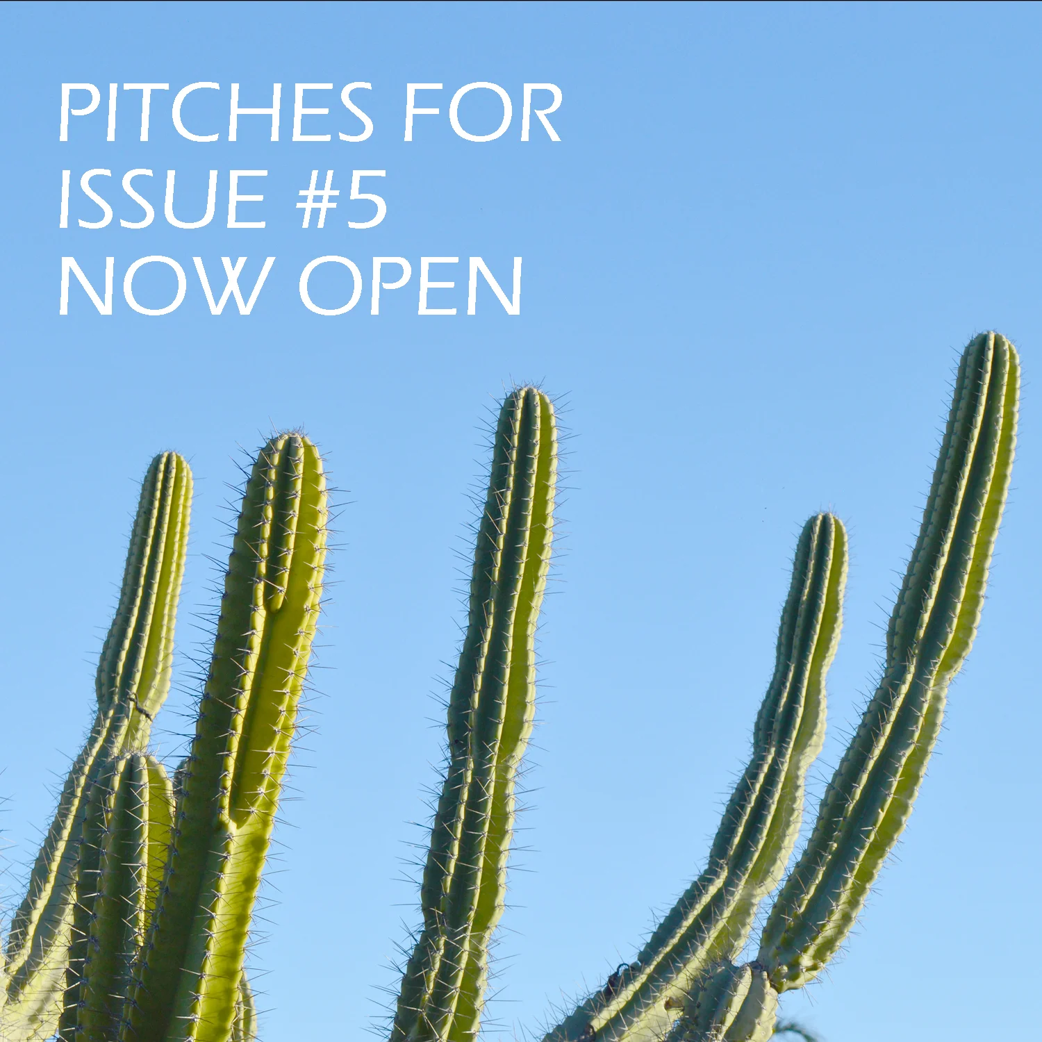Pitches.jpg