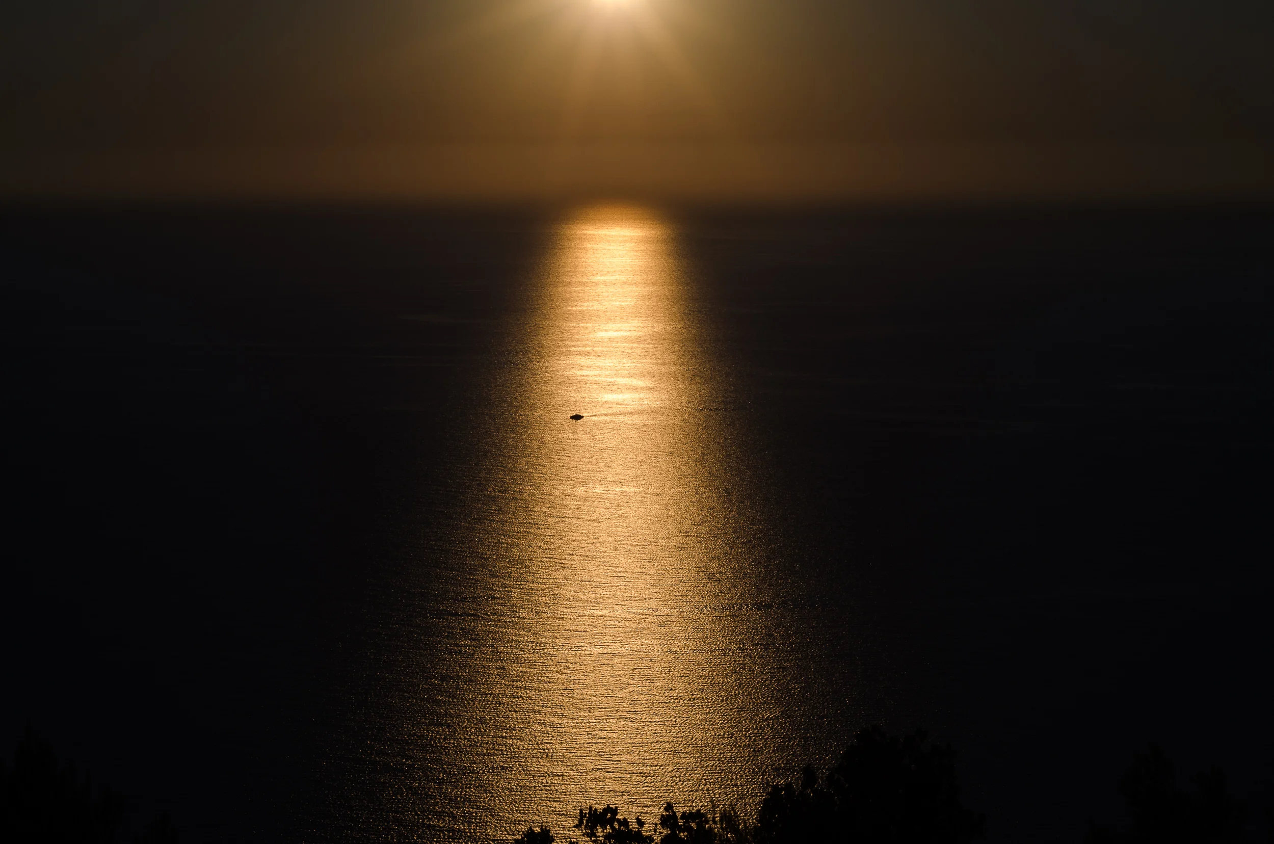 Apus Lefkada