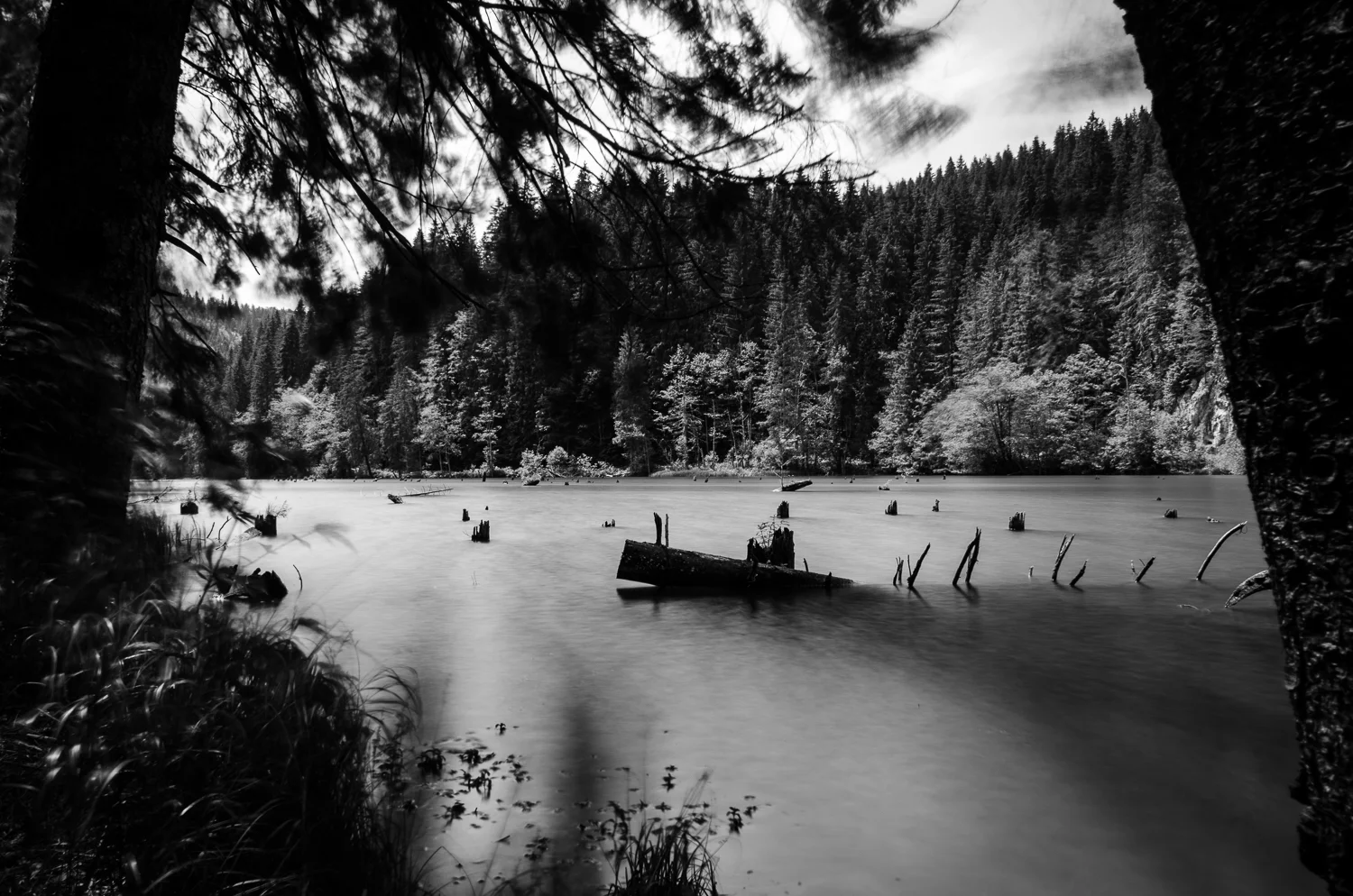 untitled-86-2.jpg