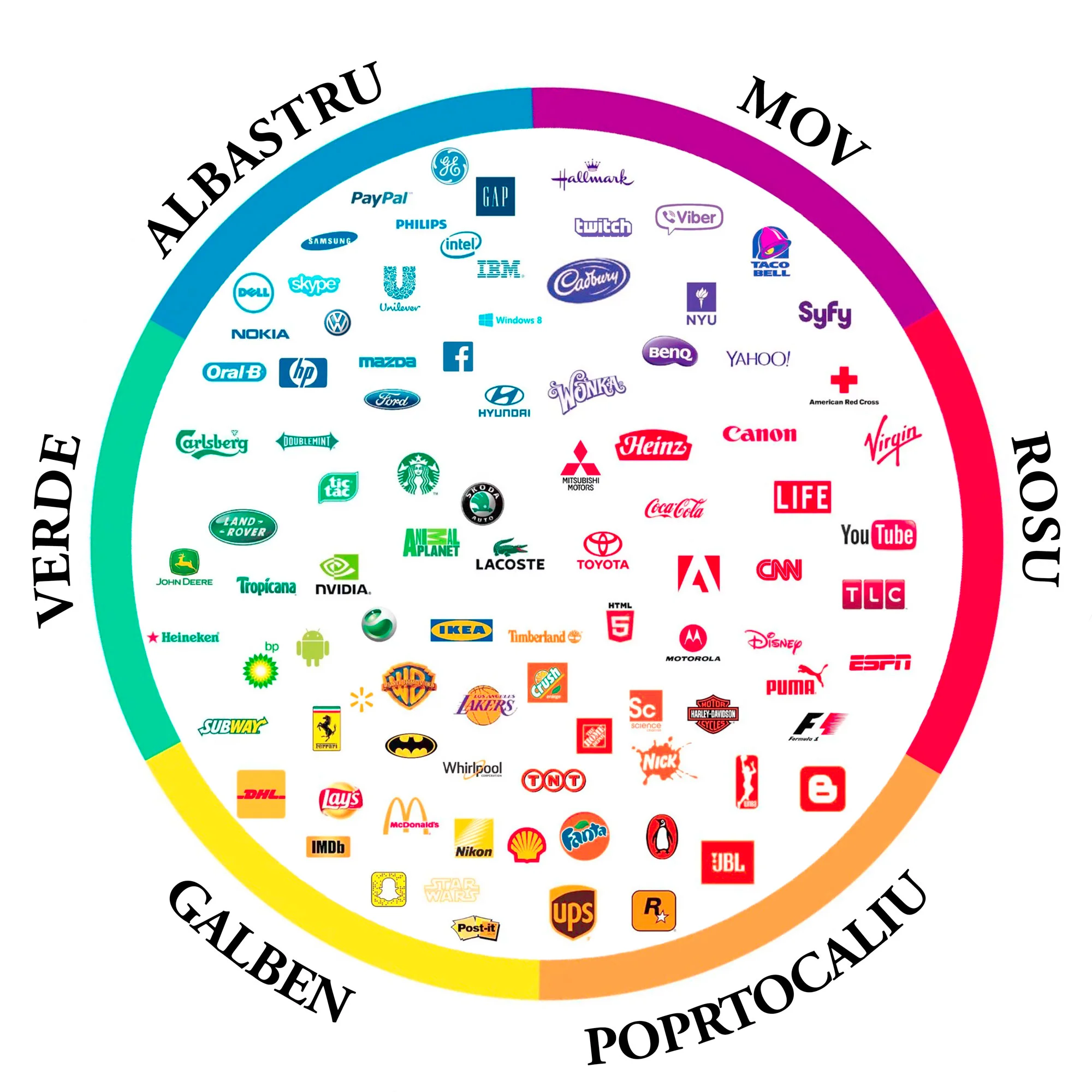 culori-logo-rotund.jpg
