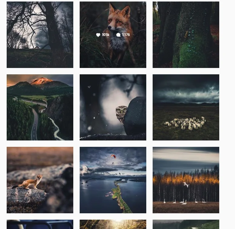 @kpunka.jpg