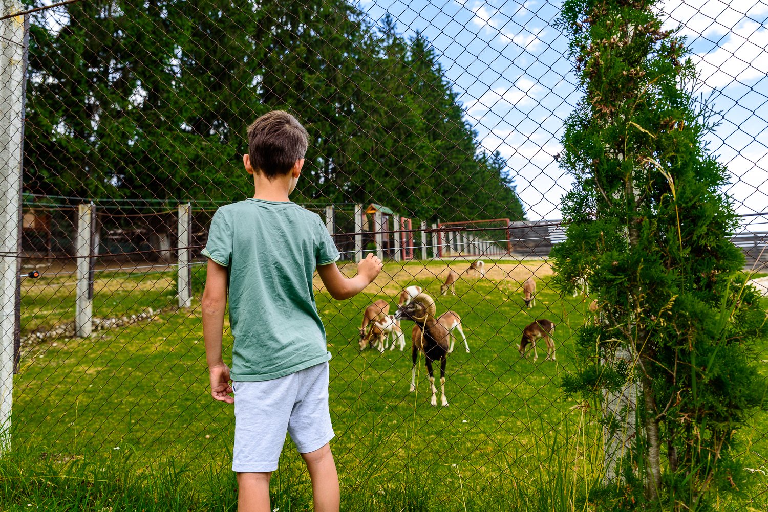 untitled-4244.jpg