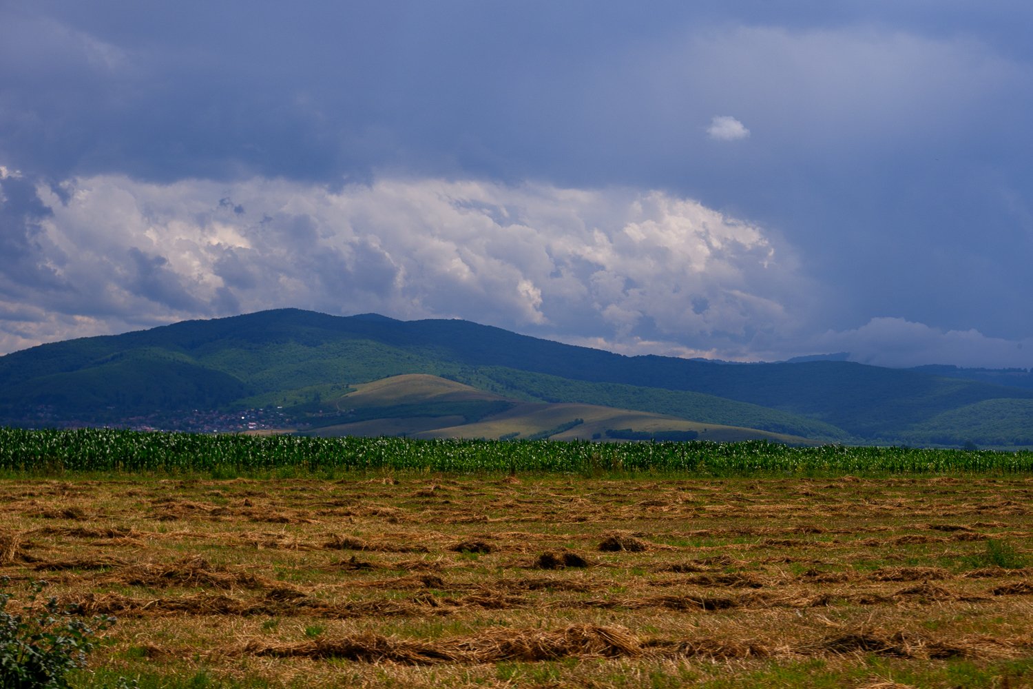 untitled-4824.jpg