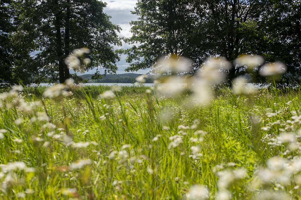 a7.jpg