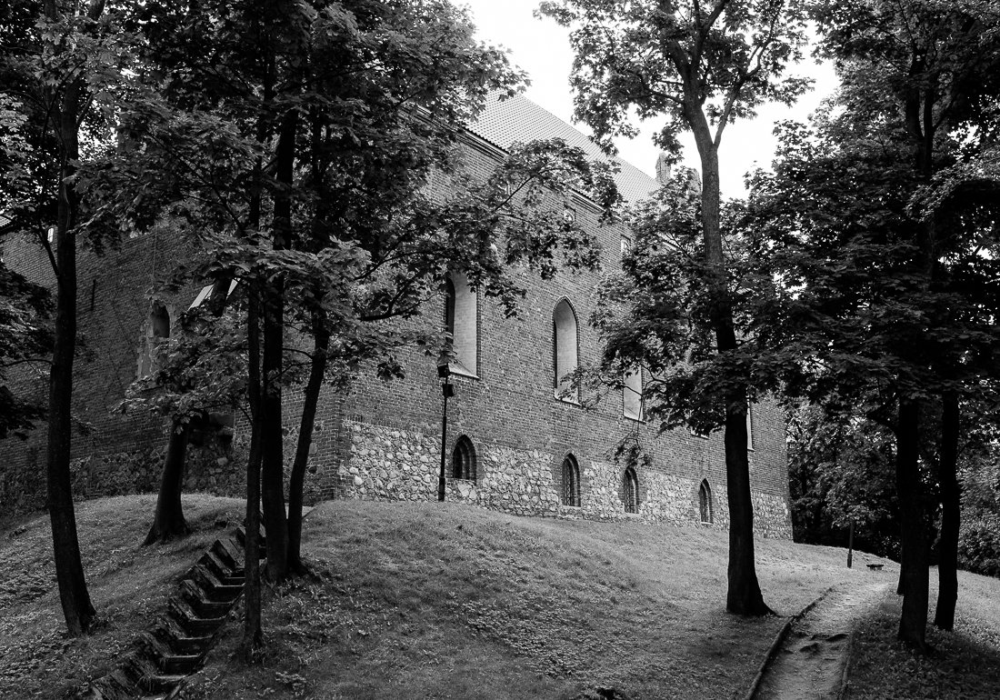 1 DSC_1386 kopia 2.JPG