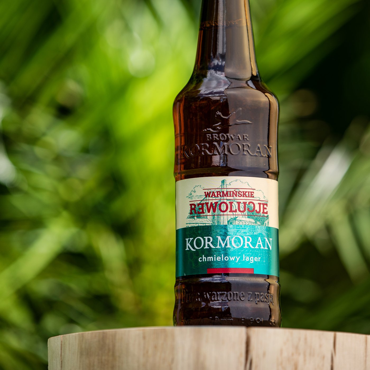 DSC_9974 kopia 3.jpg