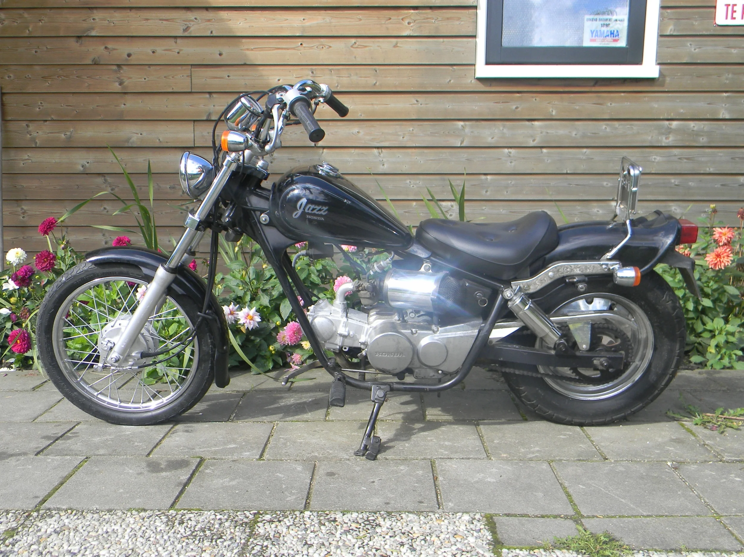 DSCN4755.JPG