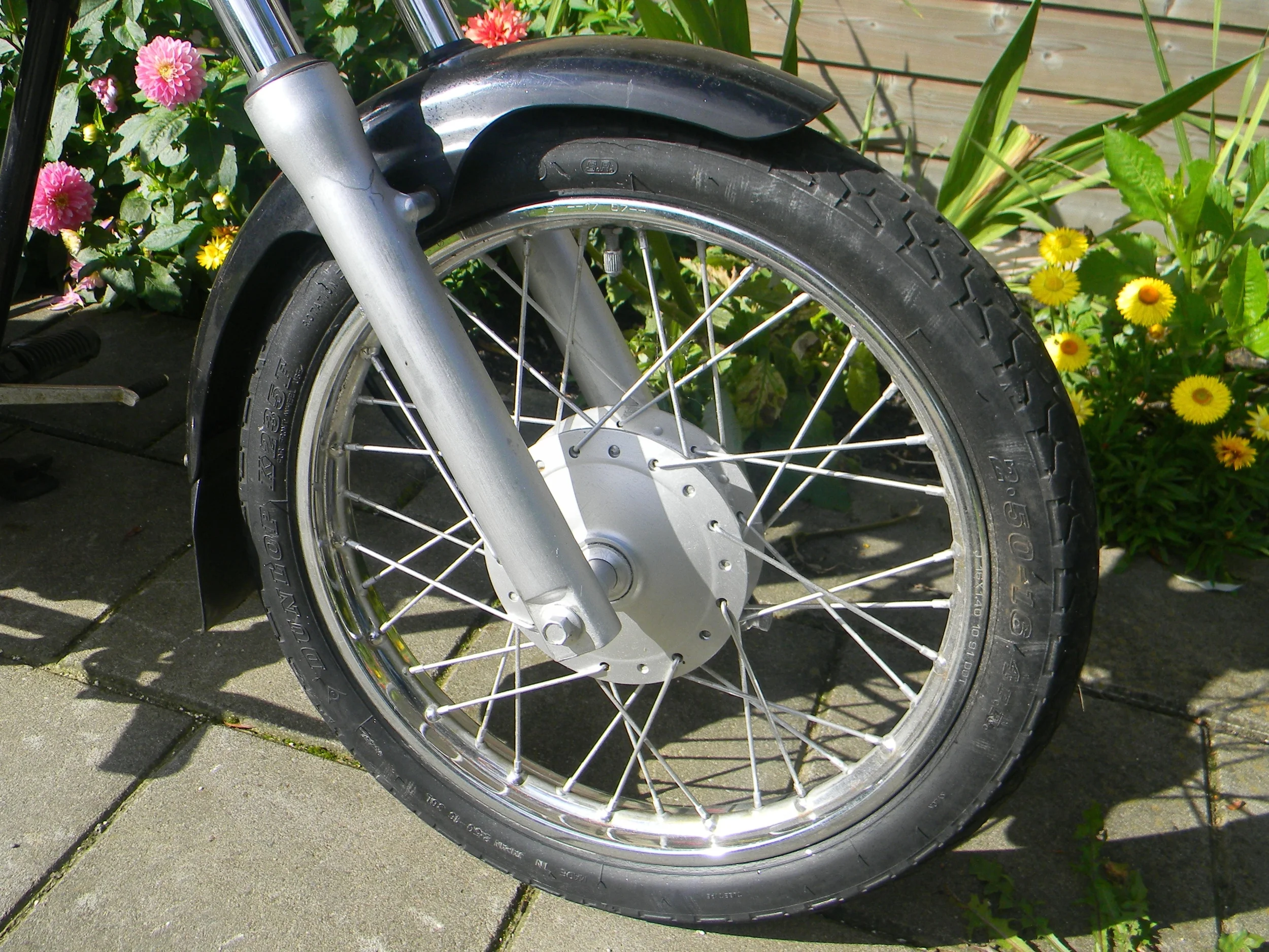 DSCN4773.JPG