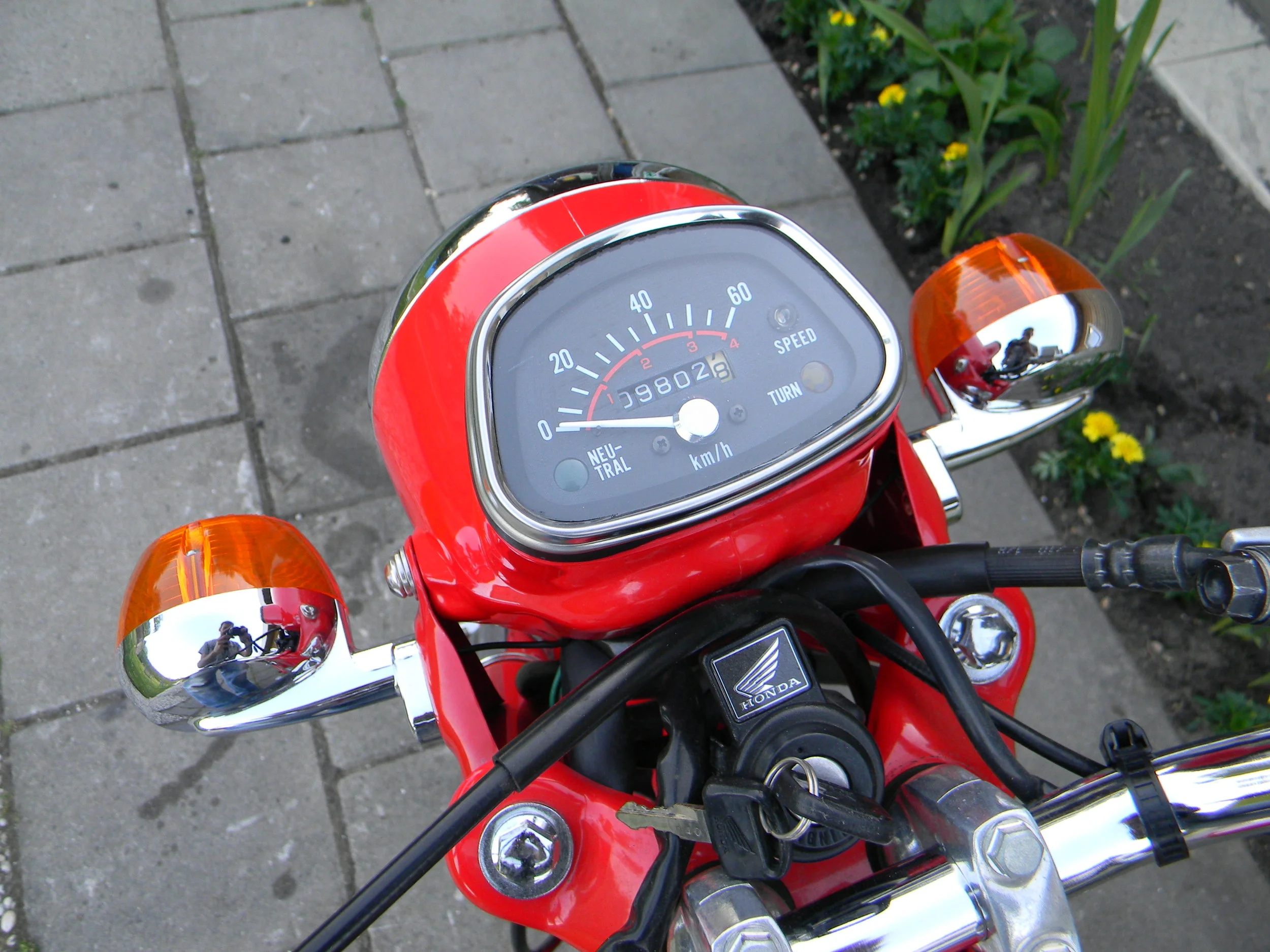 DSCN5537.JPG