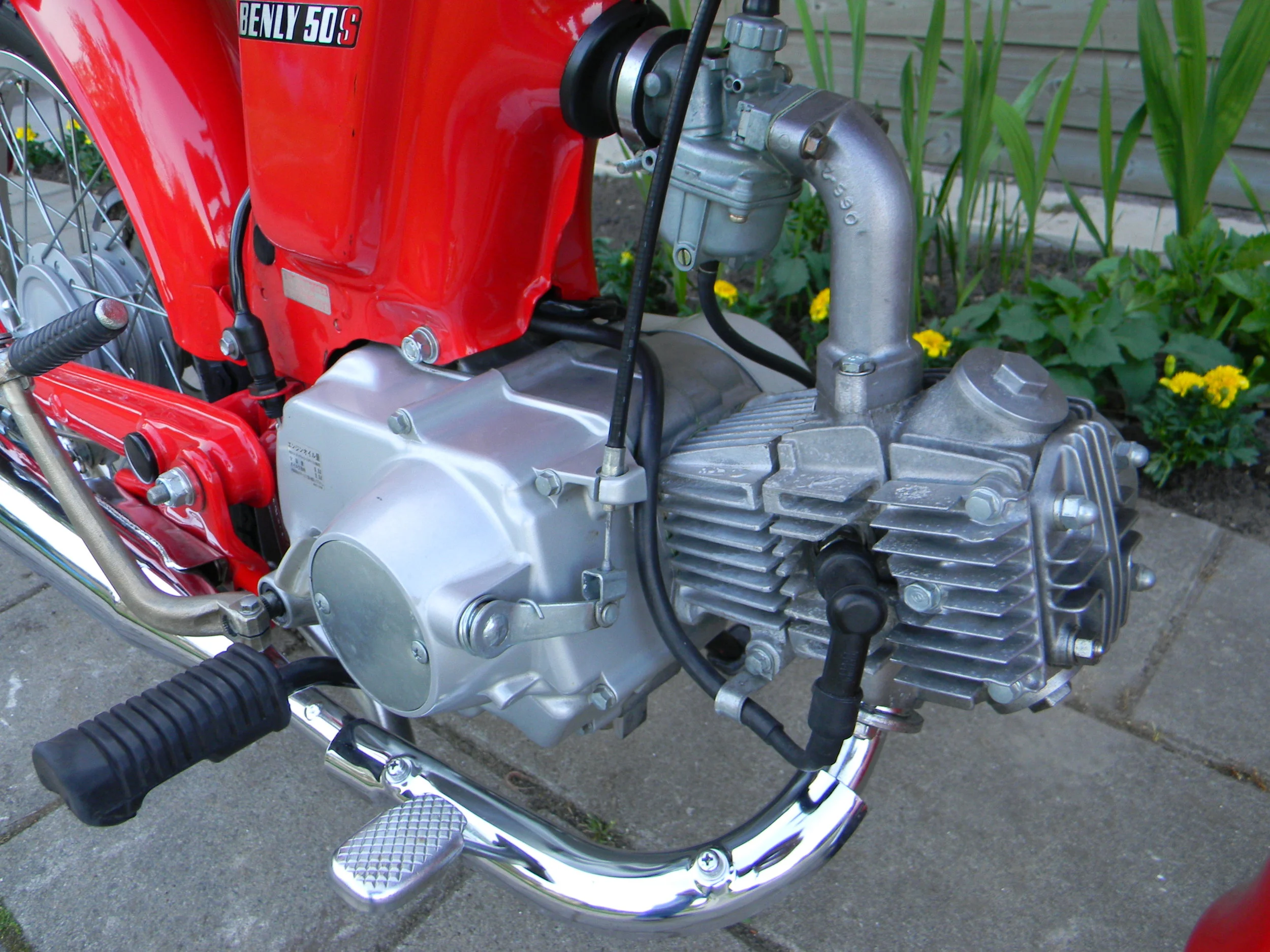 DSCN5549.JPG