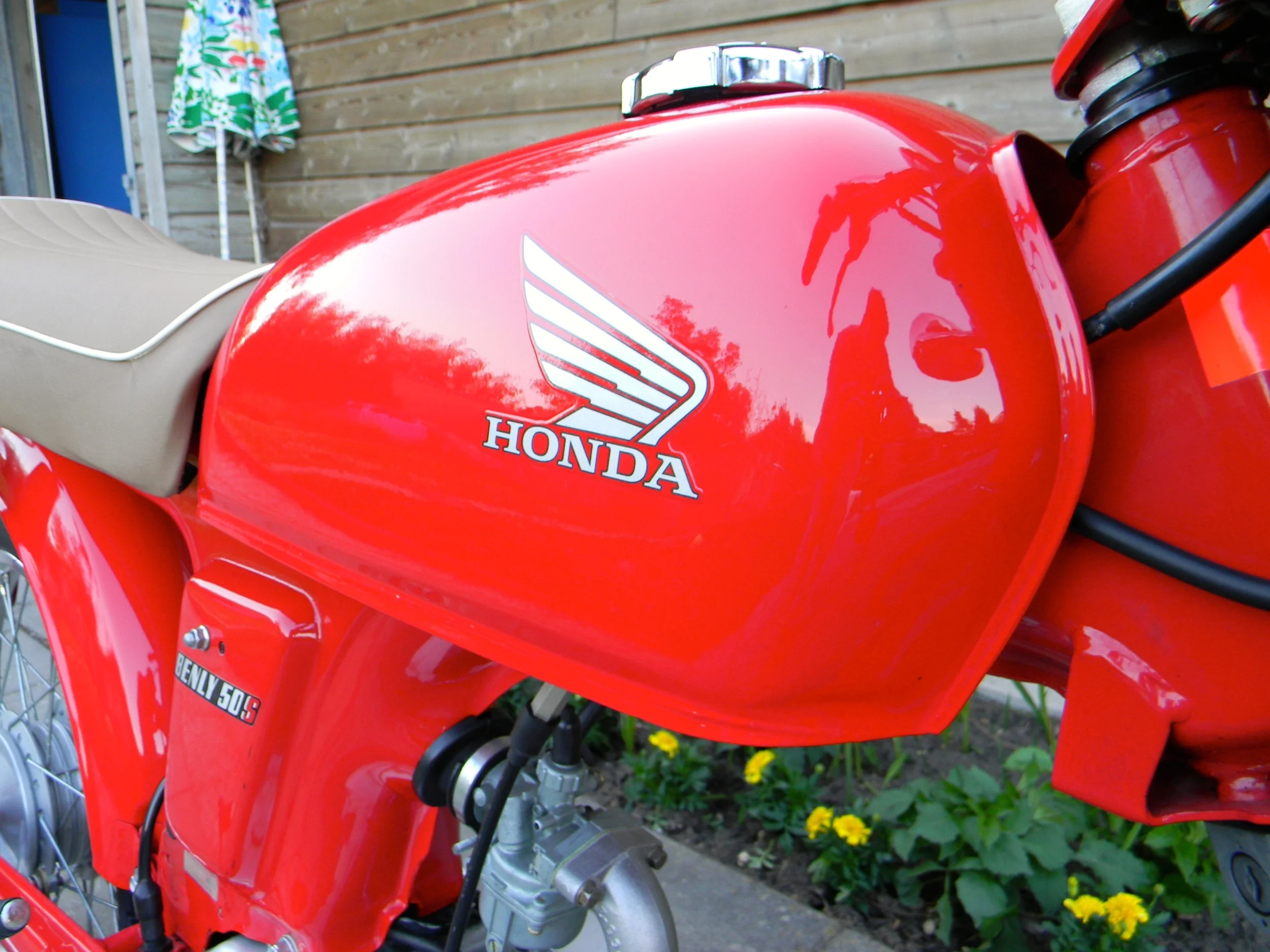 DSCN5552.JPG