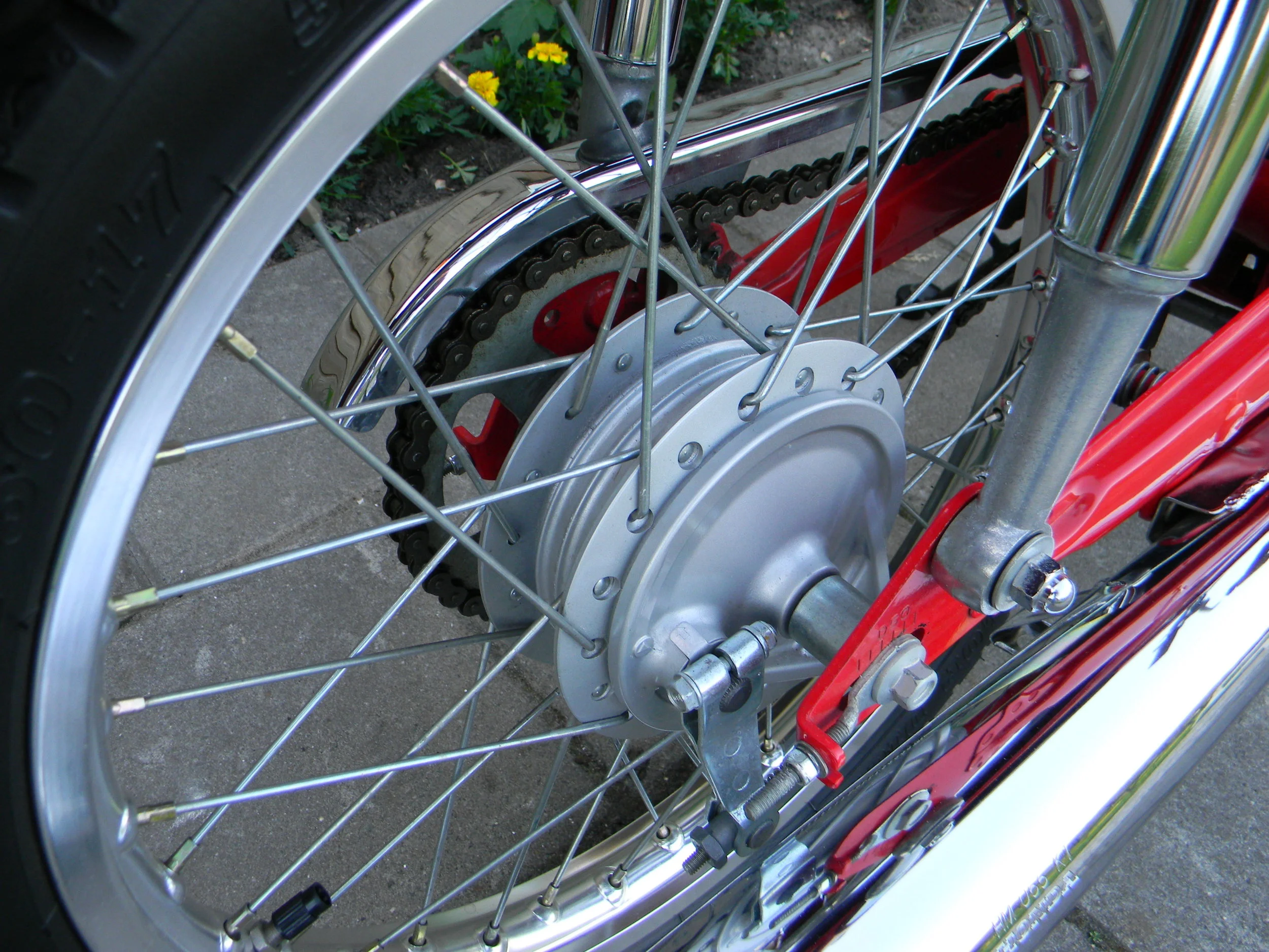 DSCN5557.JPG