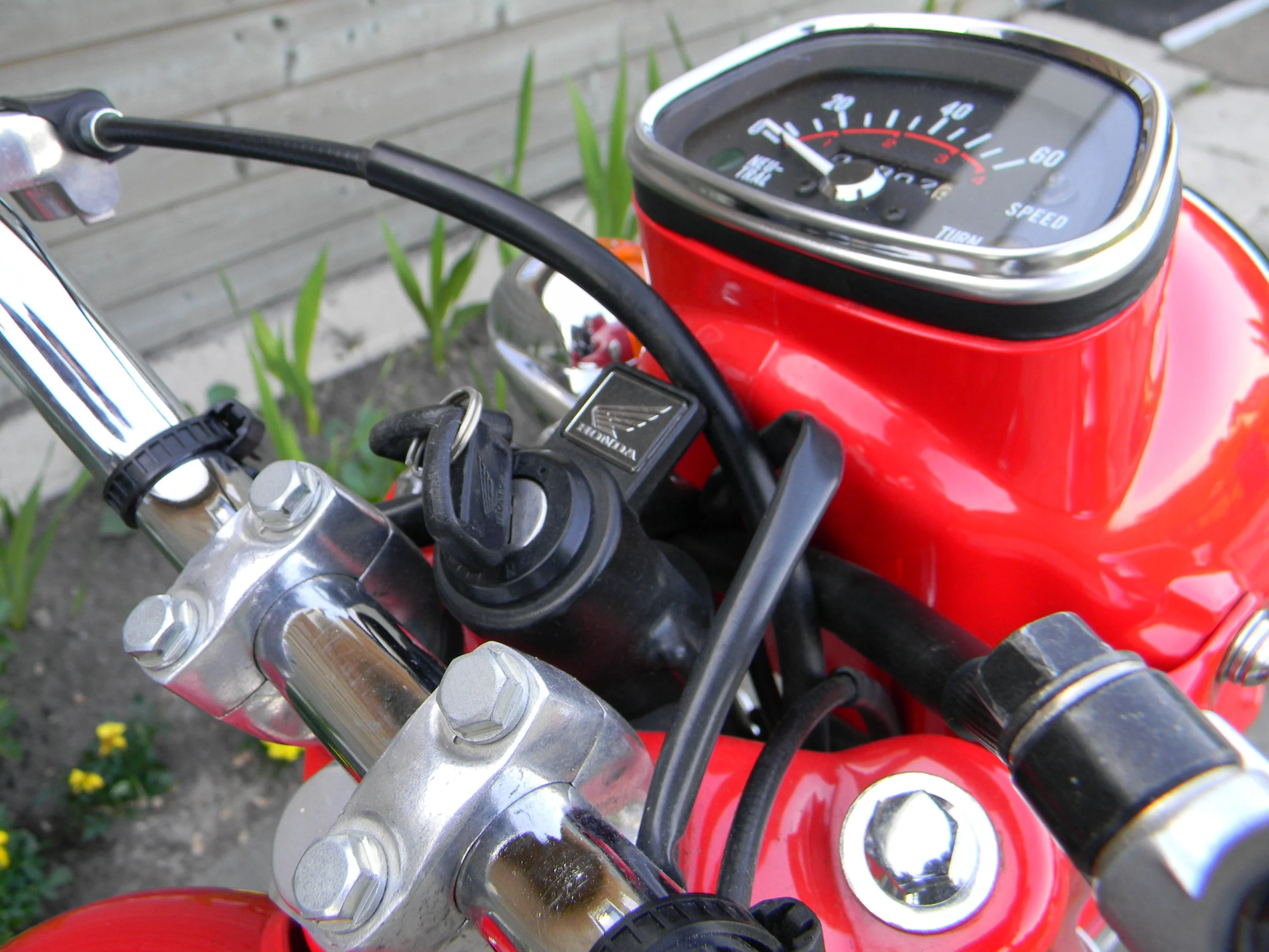 DSCN5561.JPG