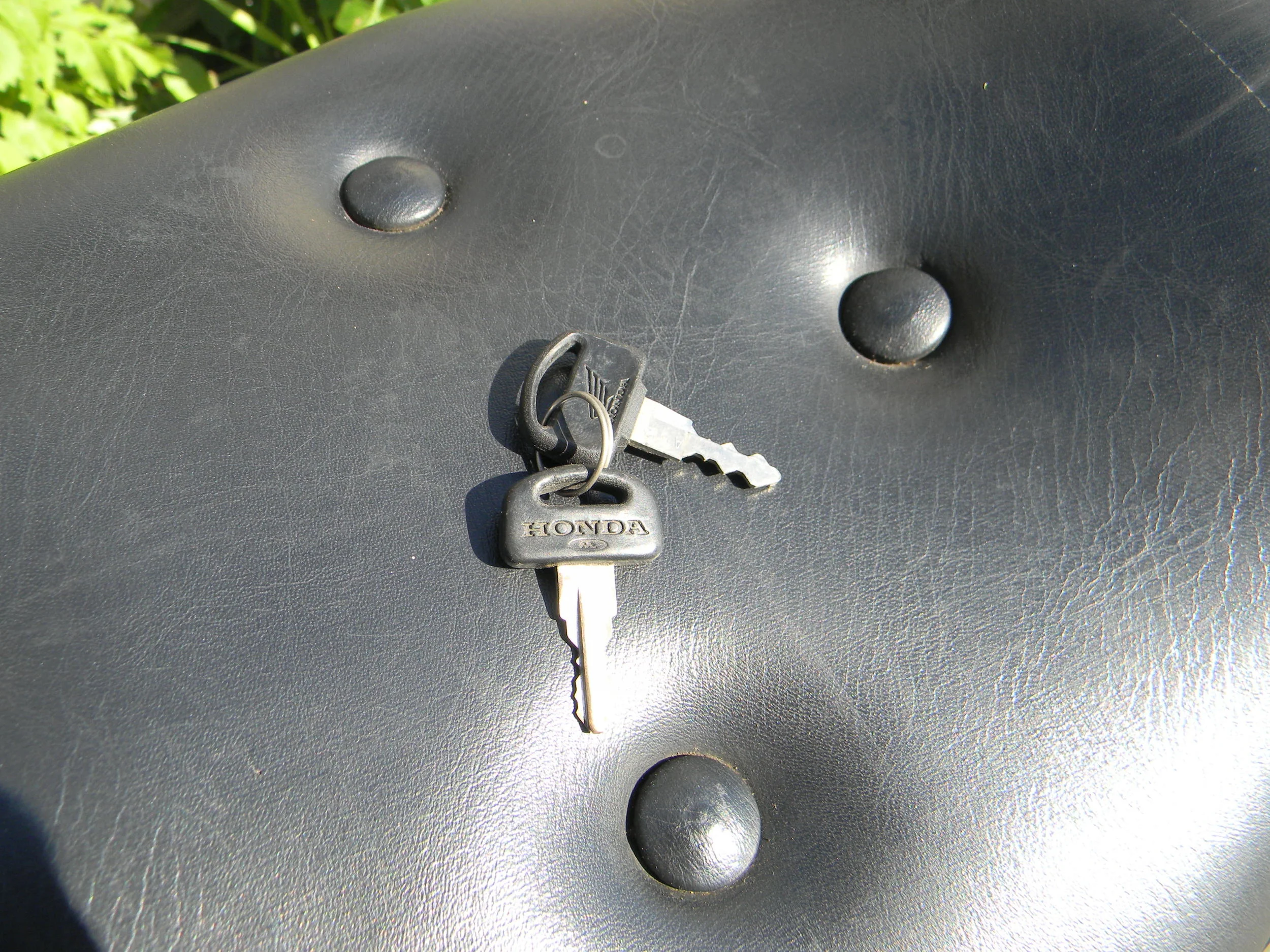 DSCN5570.JPG