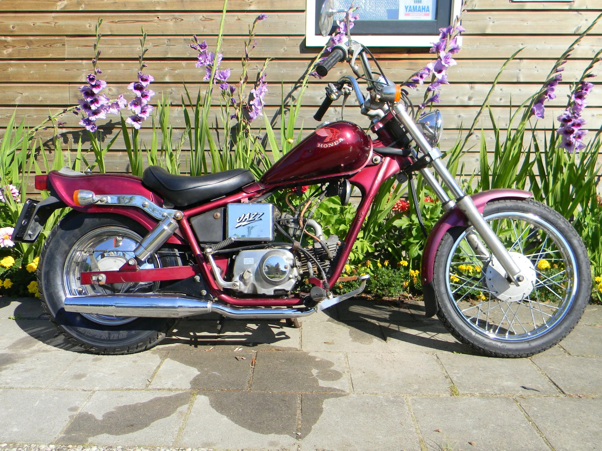 DSCN5579.JPG