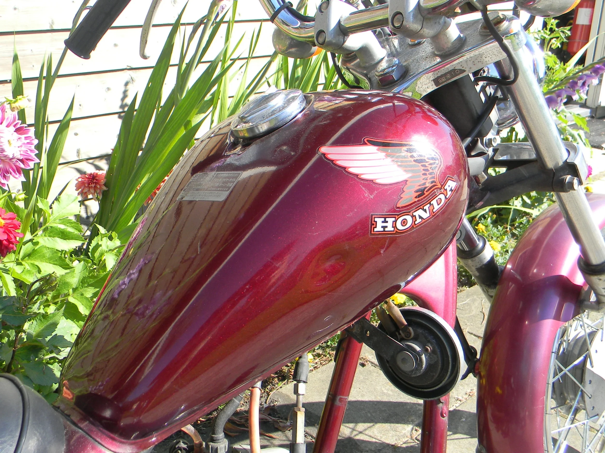 DSCN5582.JPG