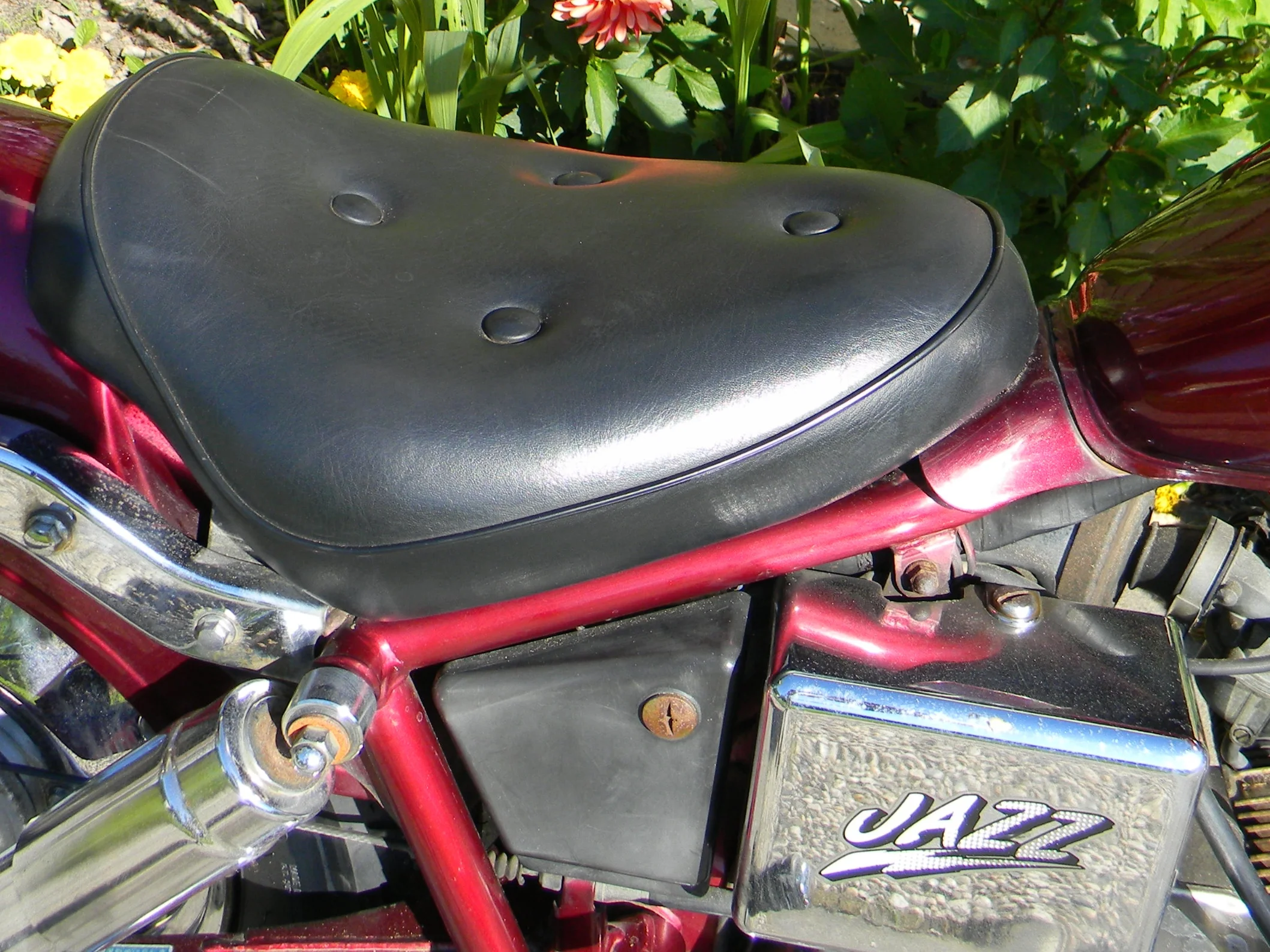 DSCN5584.JPG