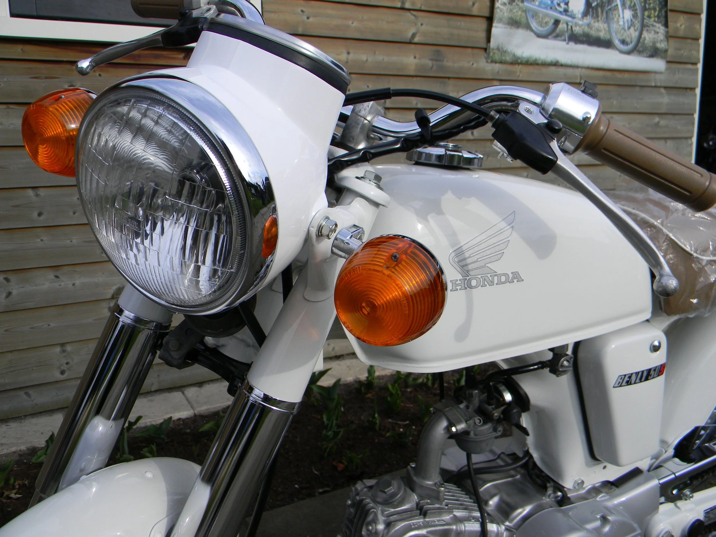DSCN6098.jpg
