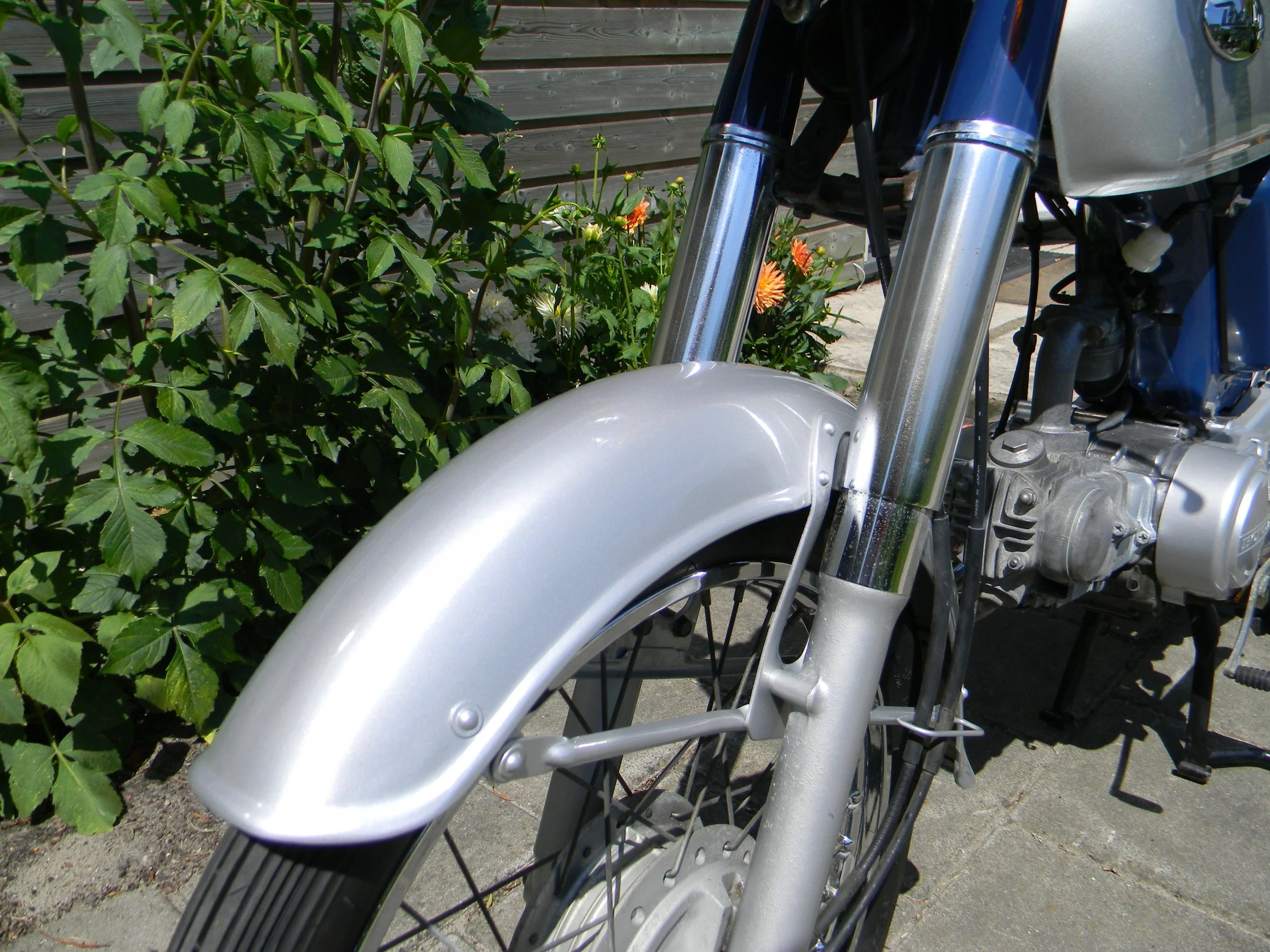 DSCN6368.jpg