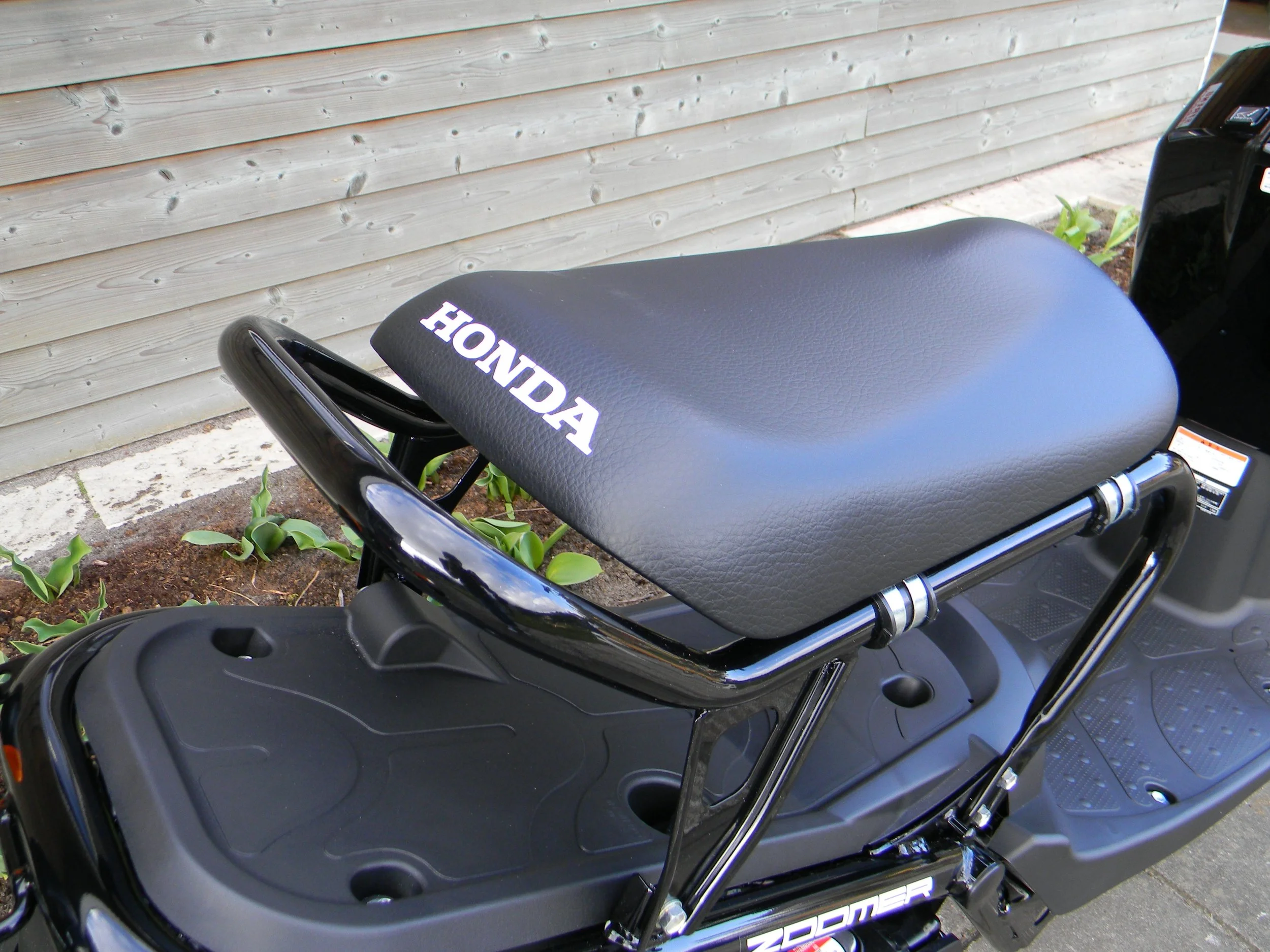 DSCN6856.jpg