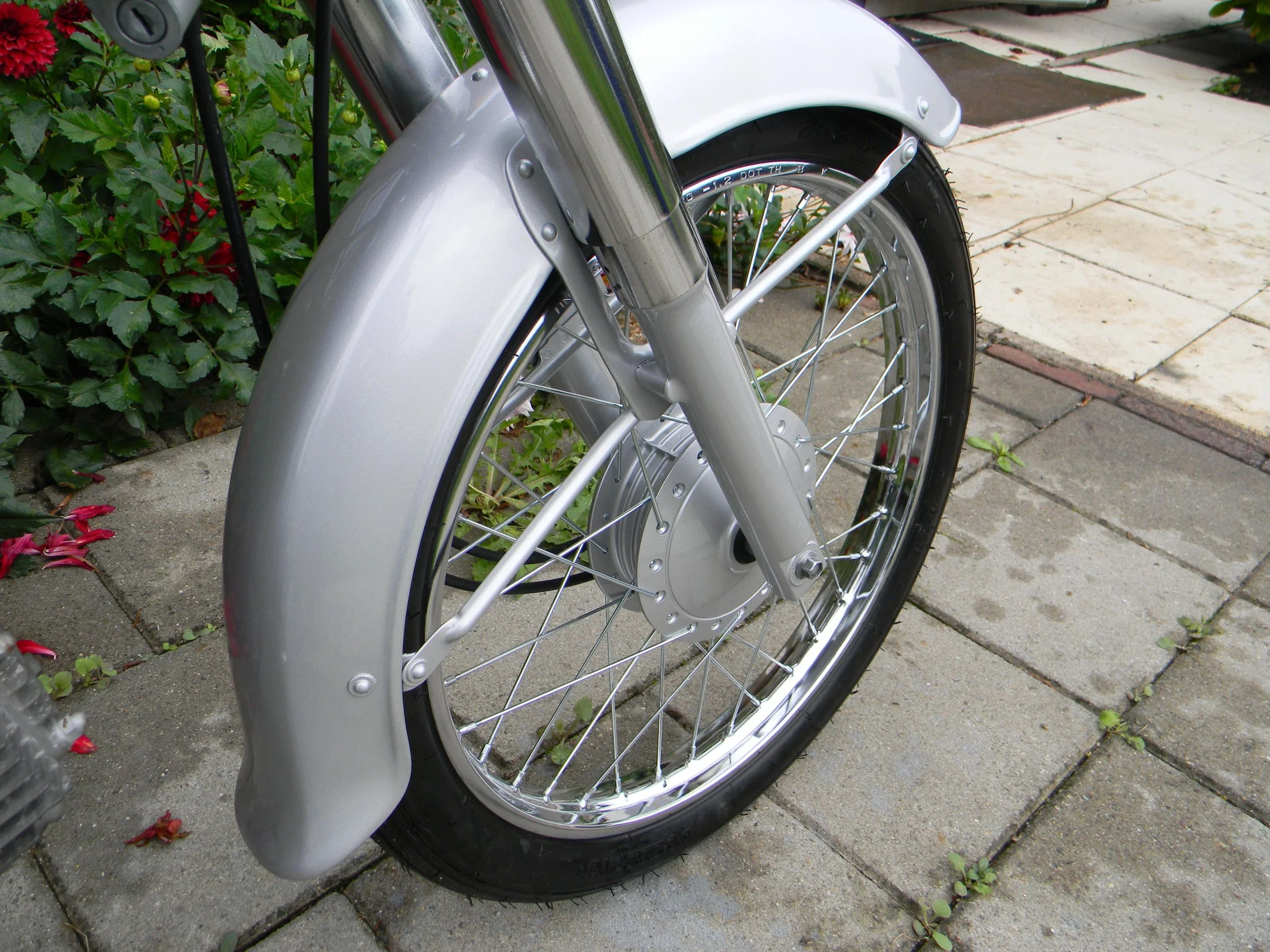 DSCN7138.jpg