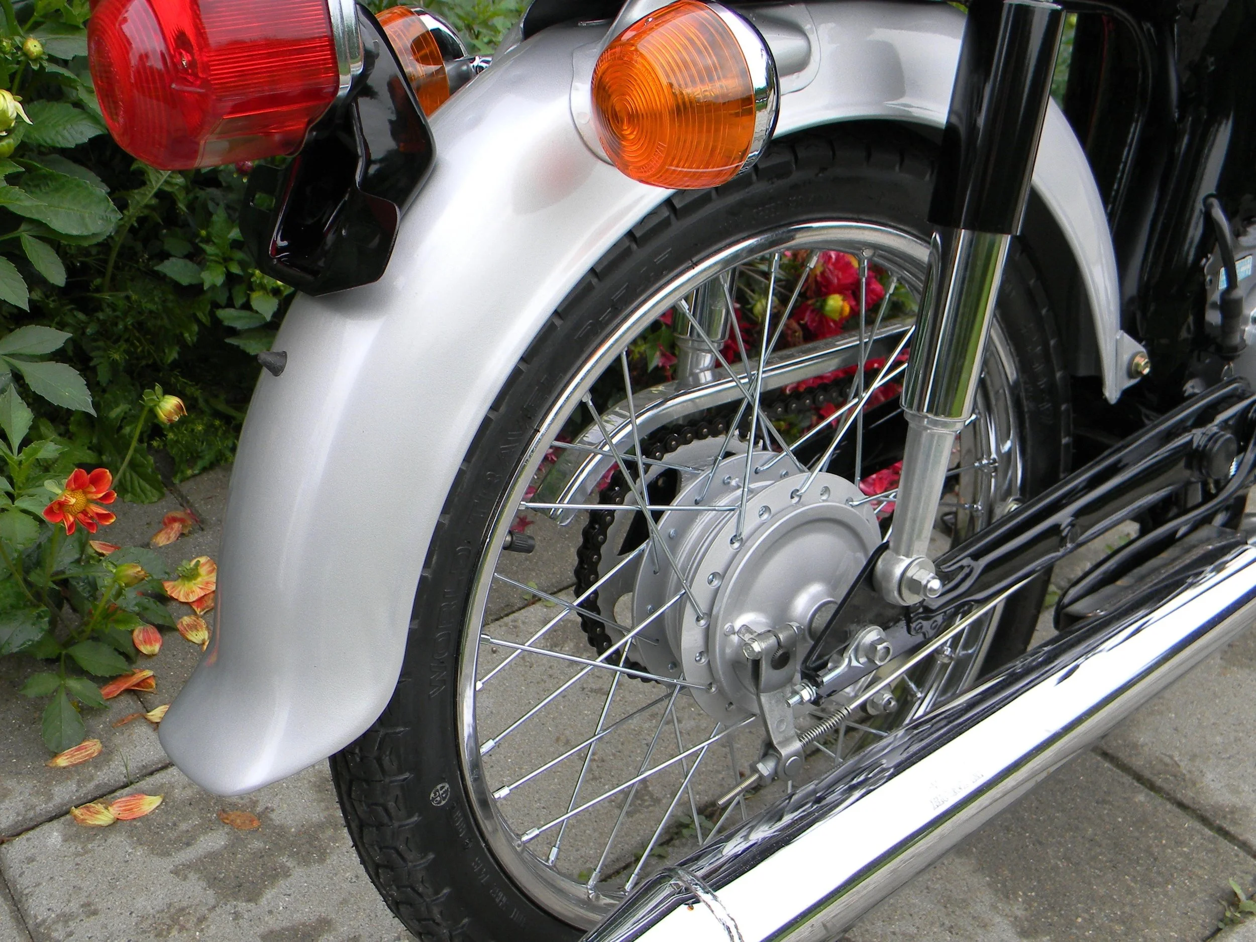 DSCN7129.jpg