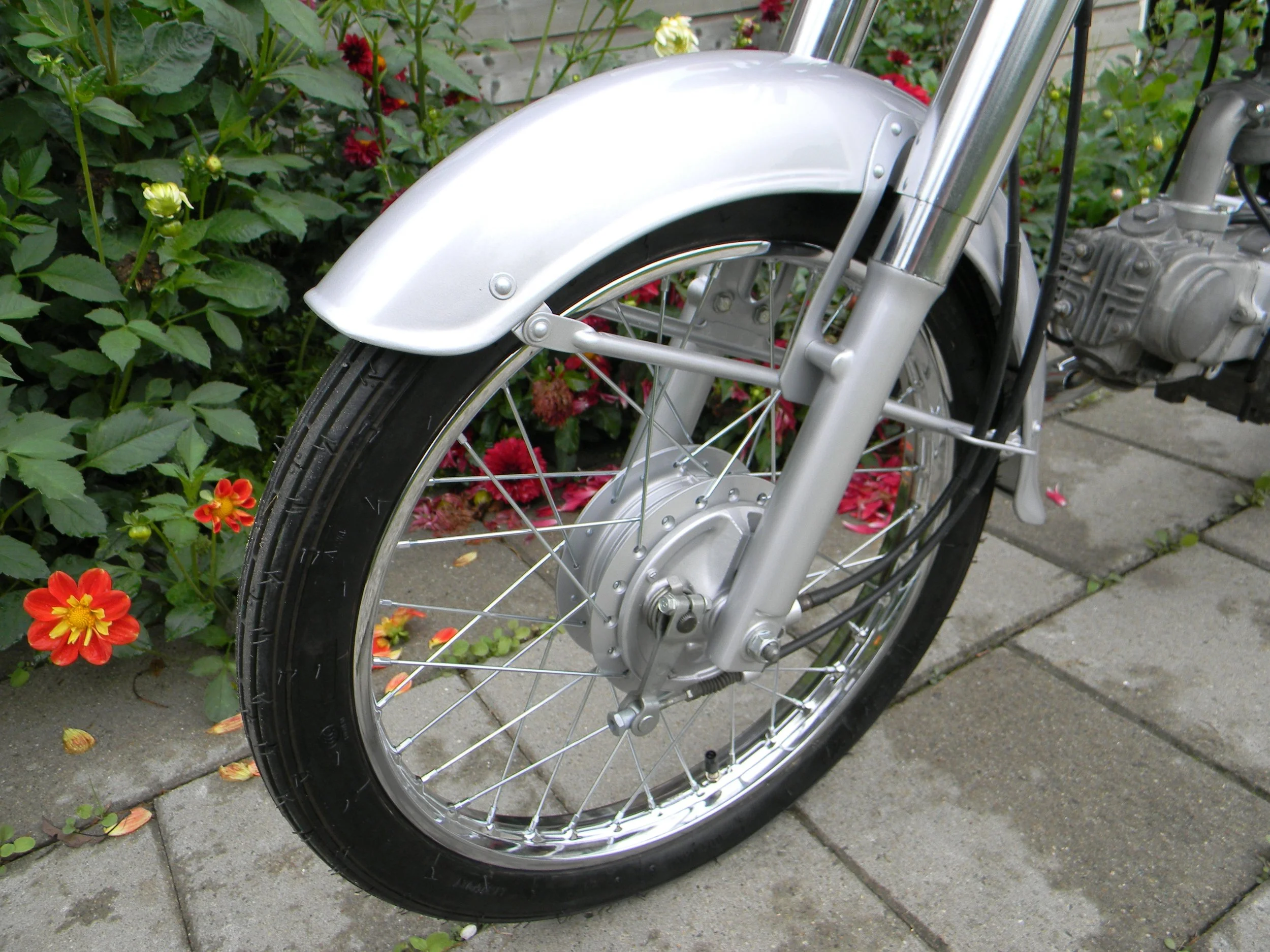 DSCN7124.jpg